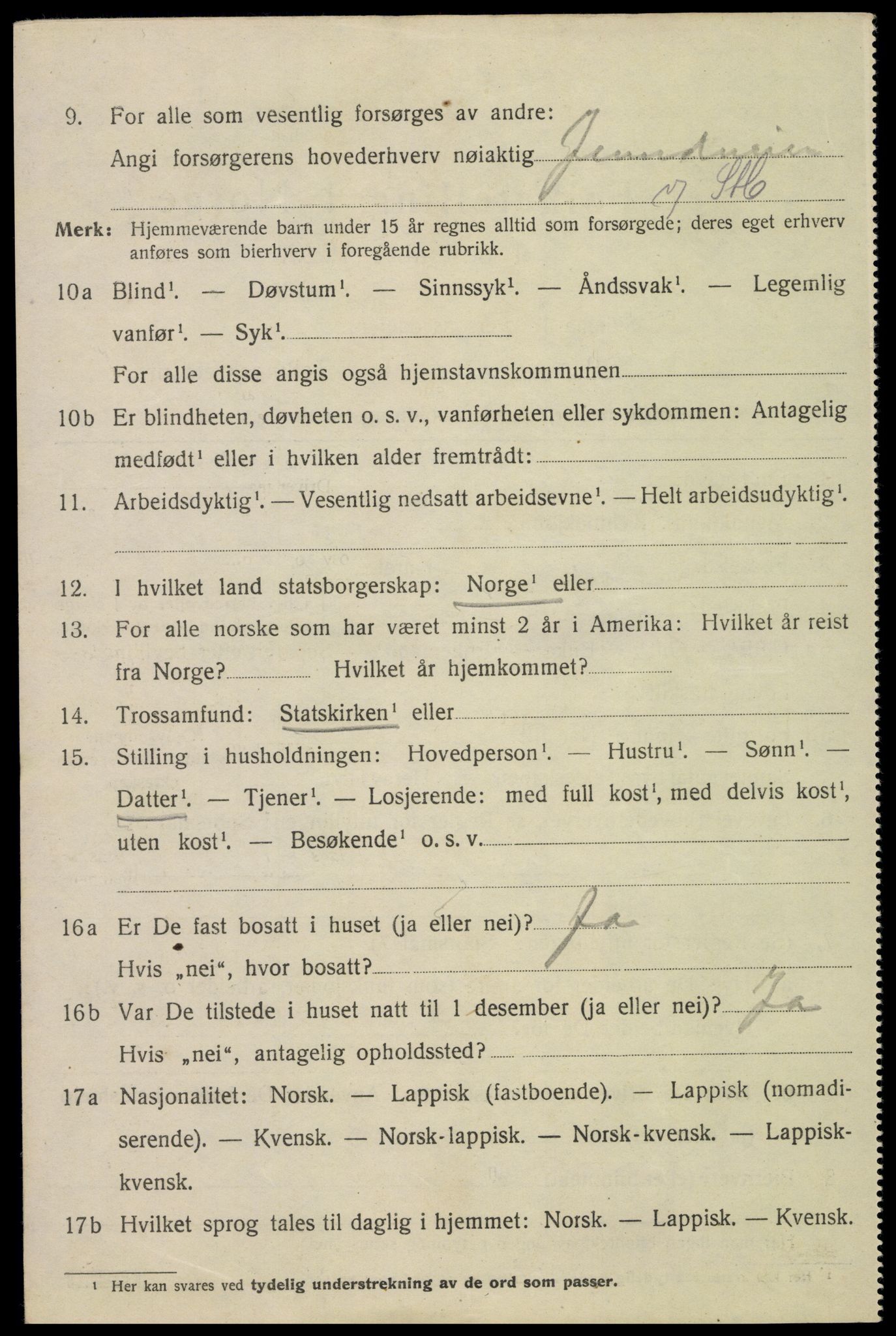 SAT, 1920 census for Narvik, 1920, p. 3993