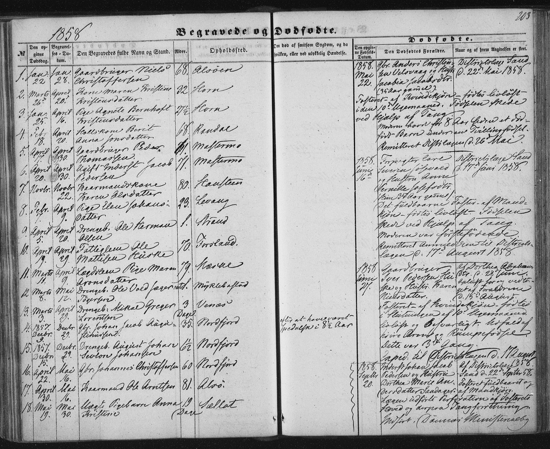 Ministerialprotokoller, klokkerbøker og fødselsregistre - Nordland, AV/SAT-A-1459/838/L0550: Parish register (official) no. 838A08, 1855-1865, p. 203