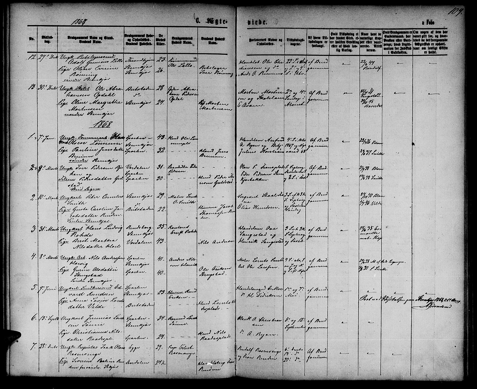 Ministerialprotokoller, klokkerbøker og fødselsregistre - Nord-Trøndelag, SAT/A-1458/739/L0373: Parish register (copy) no. 739C01, 1865-1882, p. 109