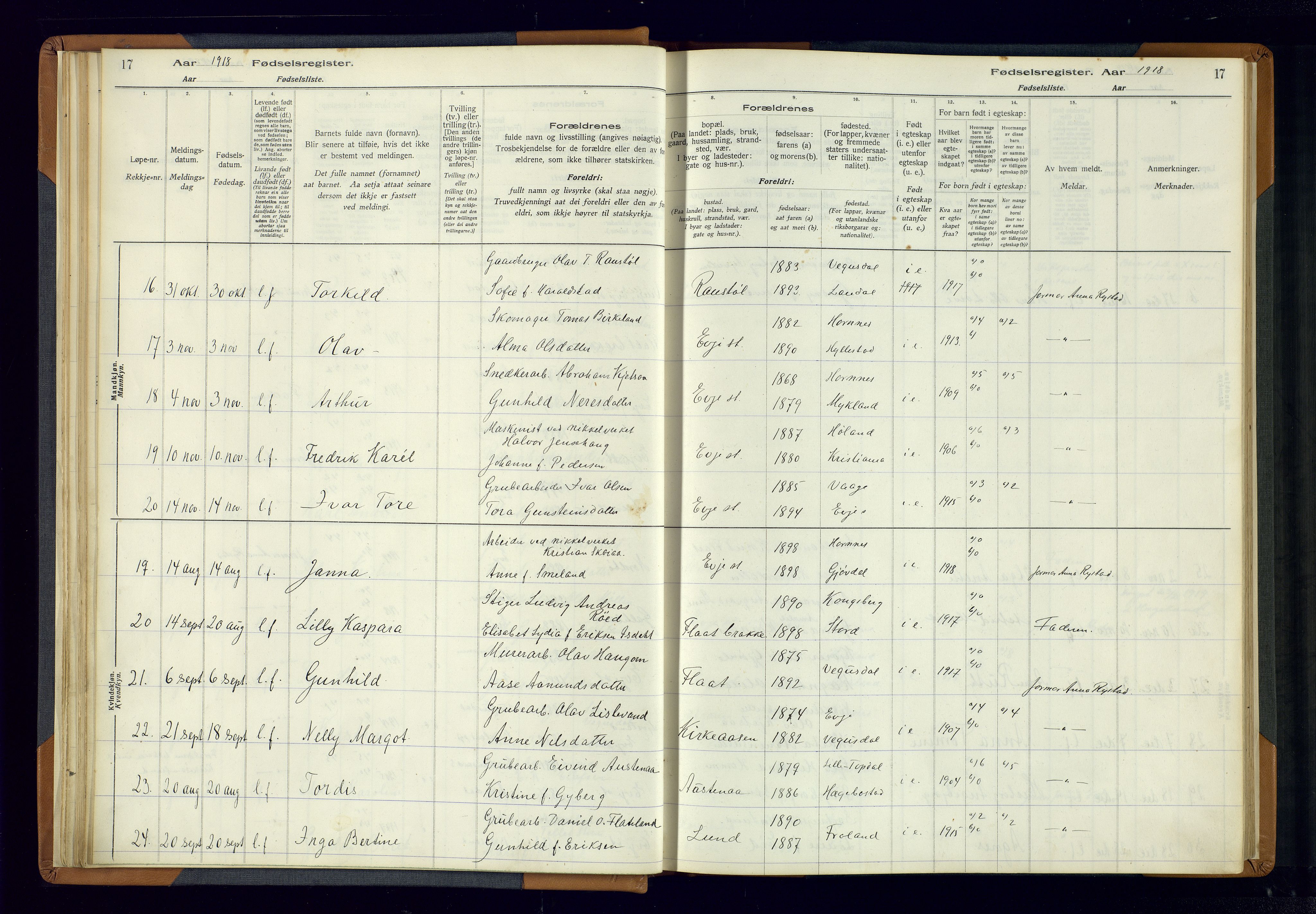 Evje sokneprestkontor, AV/SAK-1111-0008/J/Jc/L0004: Birth register no. 4, 1916-1968, p. 17