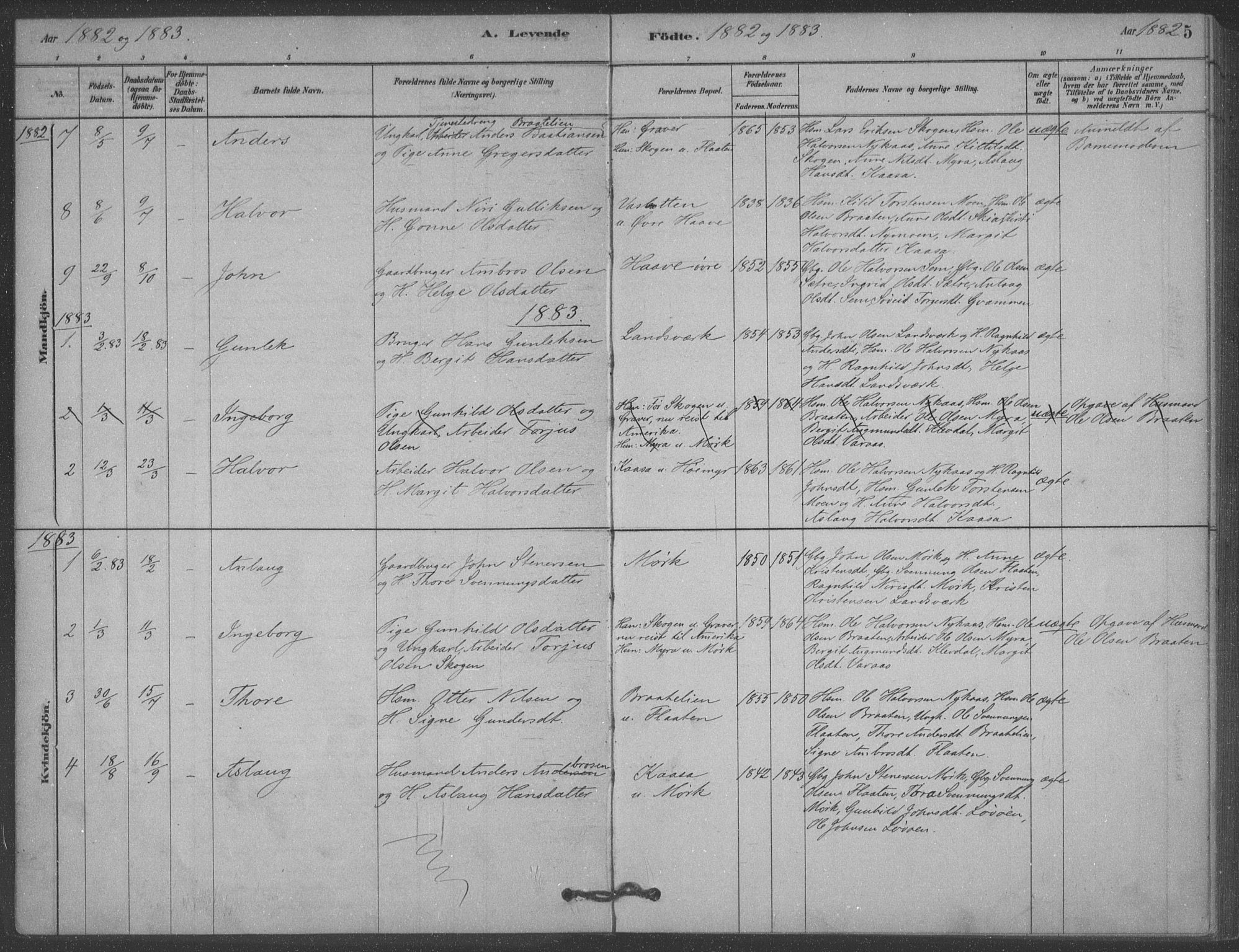 Heddal kirkebøker, SAKO/A-268/F/Fb/L0002: Parish register (official) no. II 2, 1878-1913, p. 5