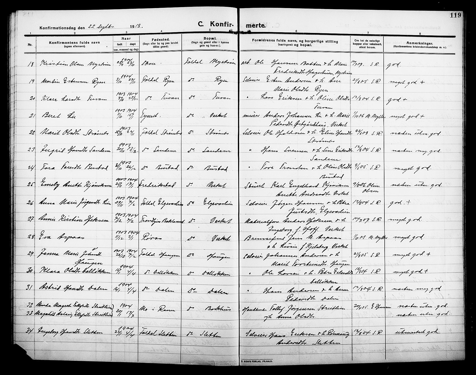 Alvdal prestekontor, AV/SAH-PREST-060/H/Ha/Hab/L0006: Parish register (copy) no. 6, 1910-1924, p. 119