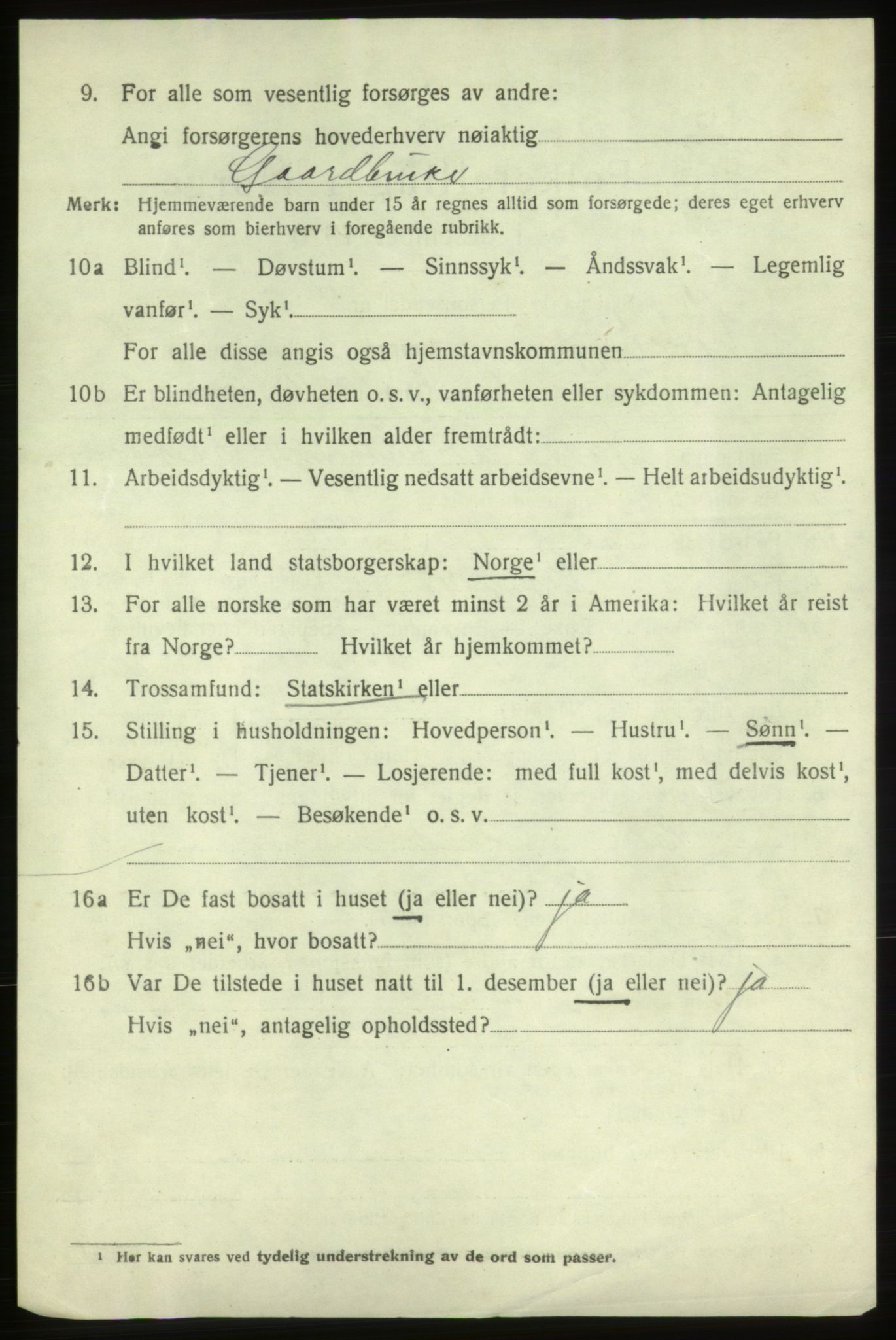 SAB, 1920 census for Vikebygd, 1920, p. 1562