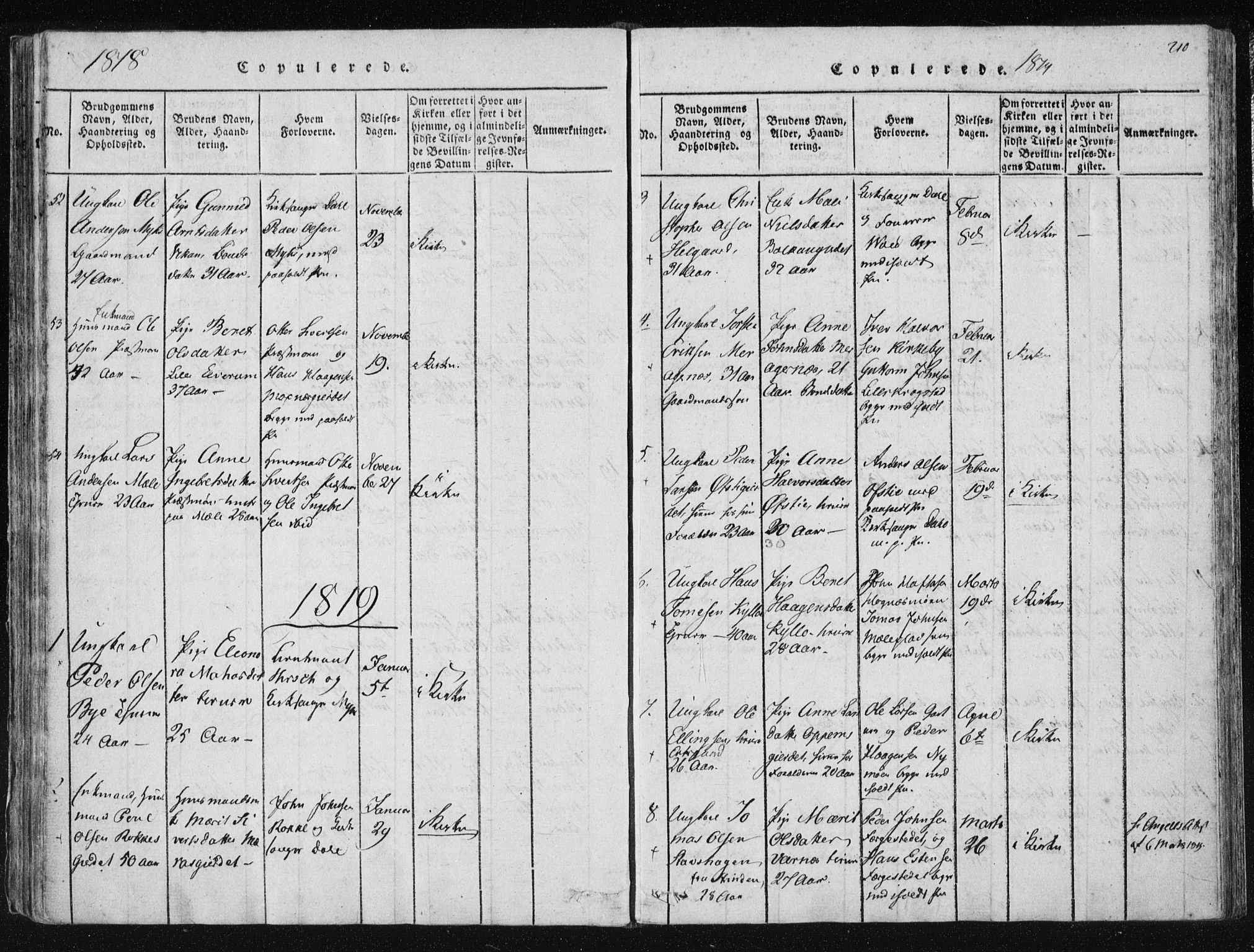 Ministerialprotokoller, klokkerbøker og fødselsregistre - Nord-Trøndelag, SAT/A-1458/709/L0061: Parish register (official) no. 709A08 /1, 1815-1819, p. 210