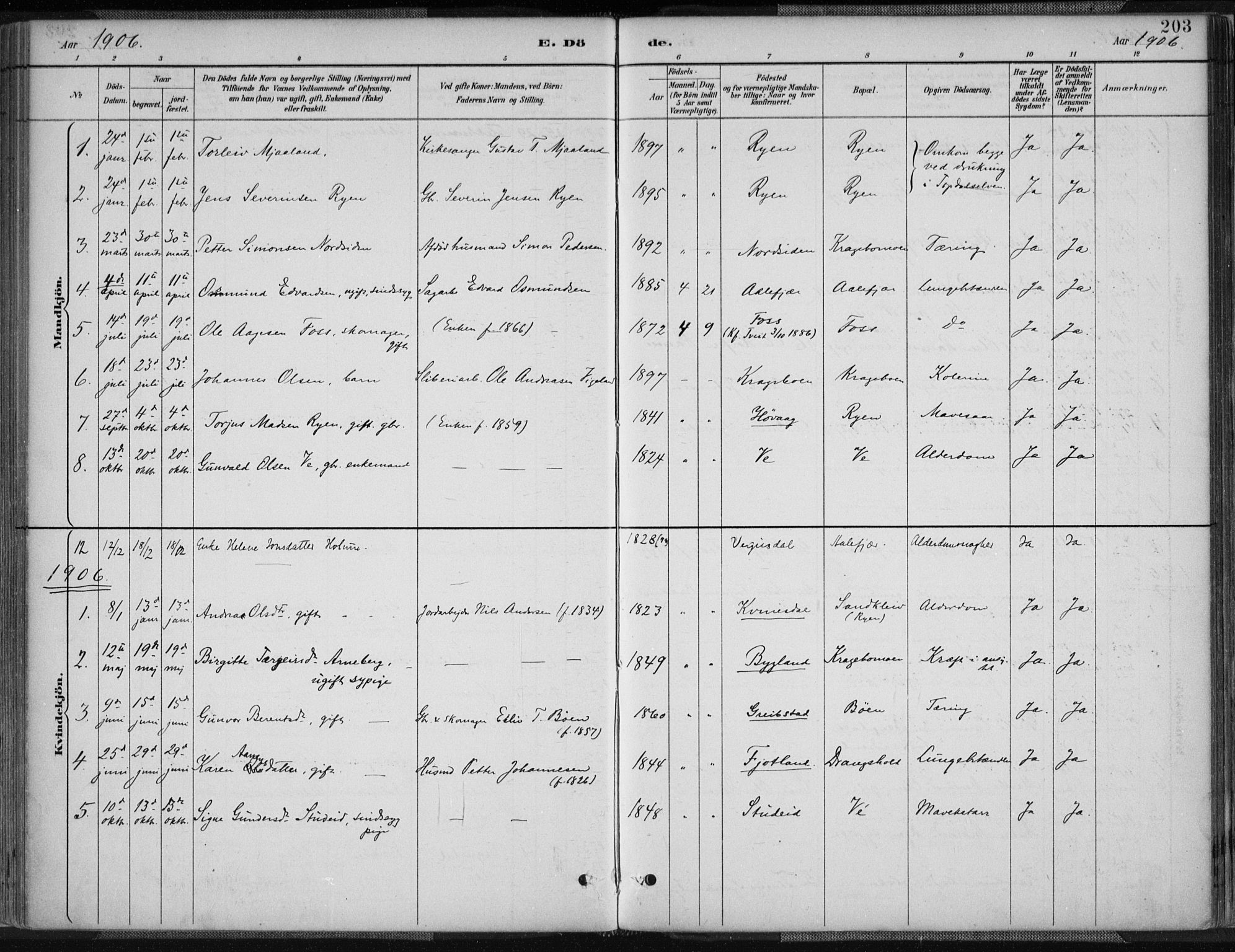 Tveit sokneprestkontor, AV/SAK-1111-0043/F/Fa/L0007: Parish register (official) no. A 7, 1887-1908, p. 203