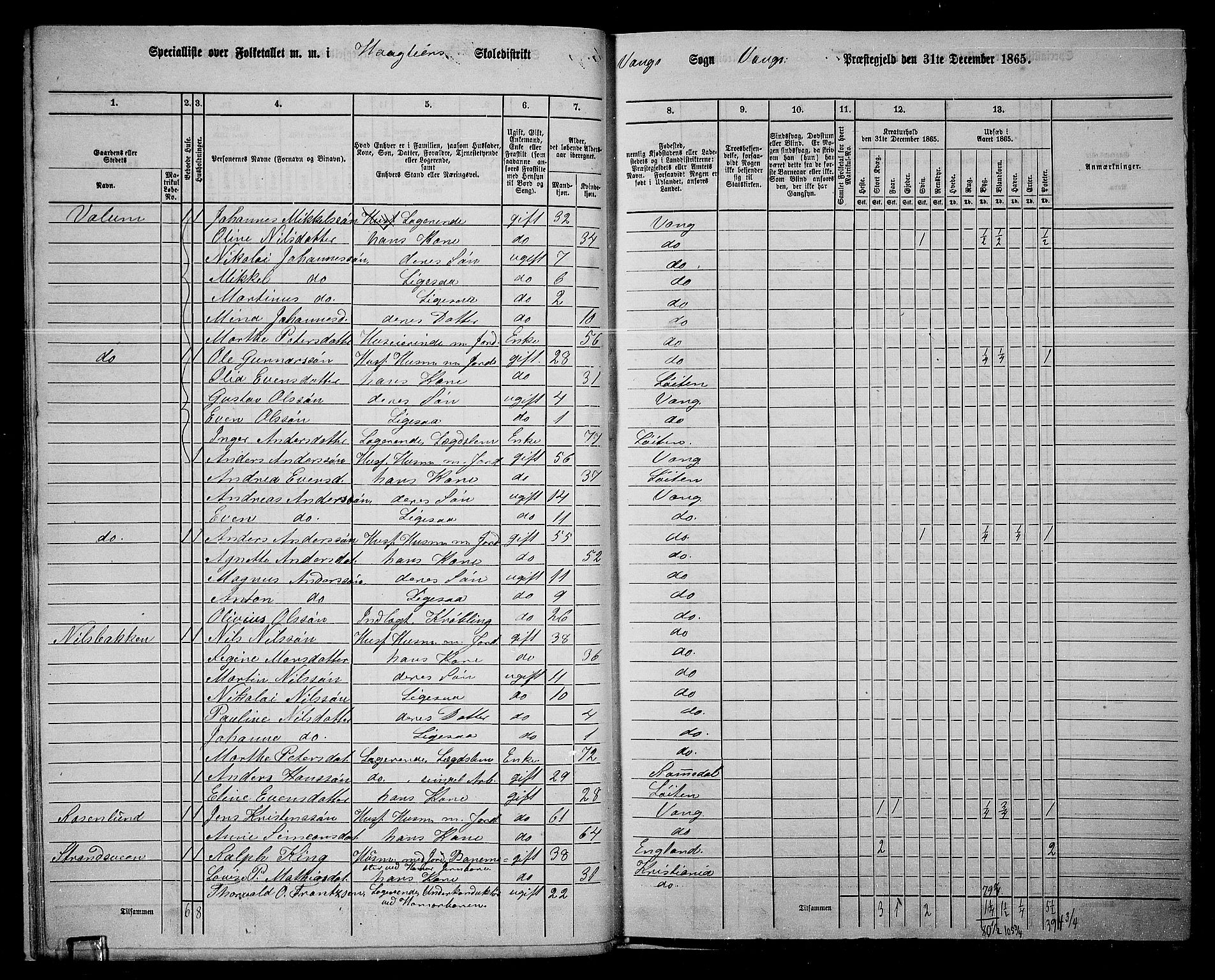 RA, 1865 census for Vang/Vang og Furnes, 1865, p. 166