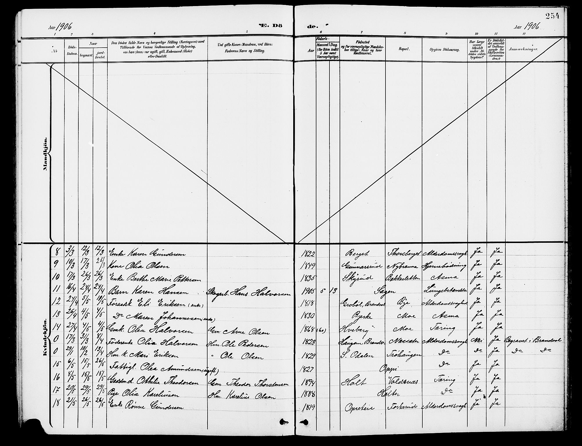Grue prestekontor, SAH/PREST-036/H/Ha/Hab/L0005: Parish register (copy) no. 5, 1900-1909, p. 254