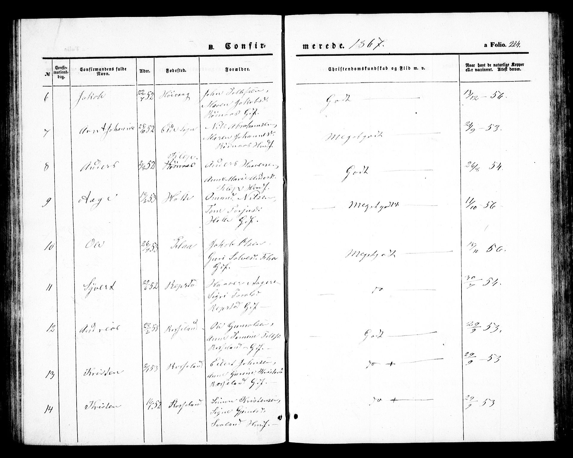 Birkenes sokneprestkontor, AV/SAK-1111-0004/F/Fb/L0002: Parish register (copy) no. B 2, 1849-1876, p. 224