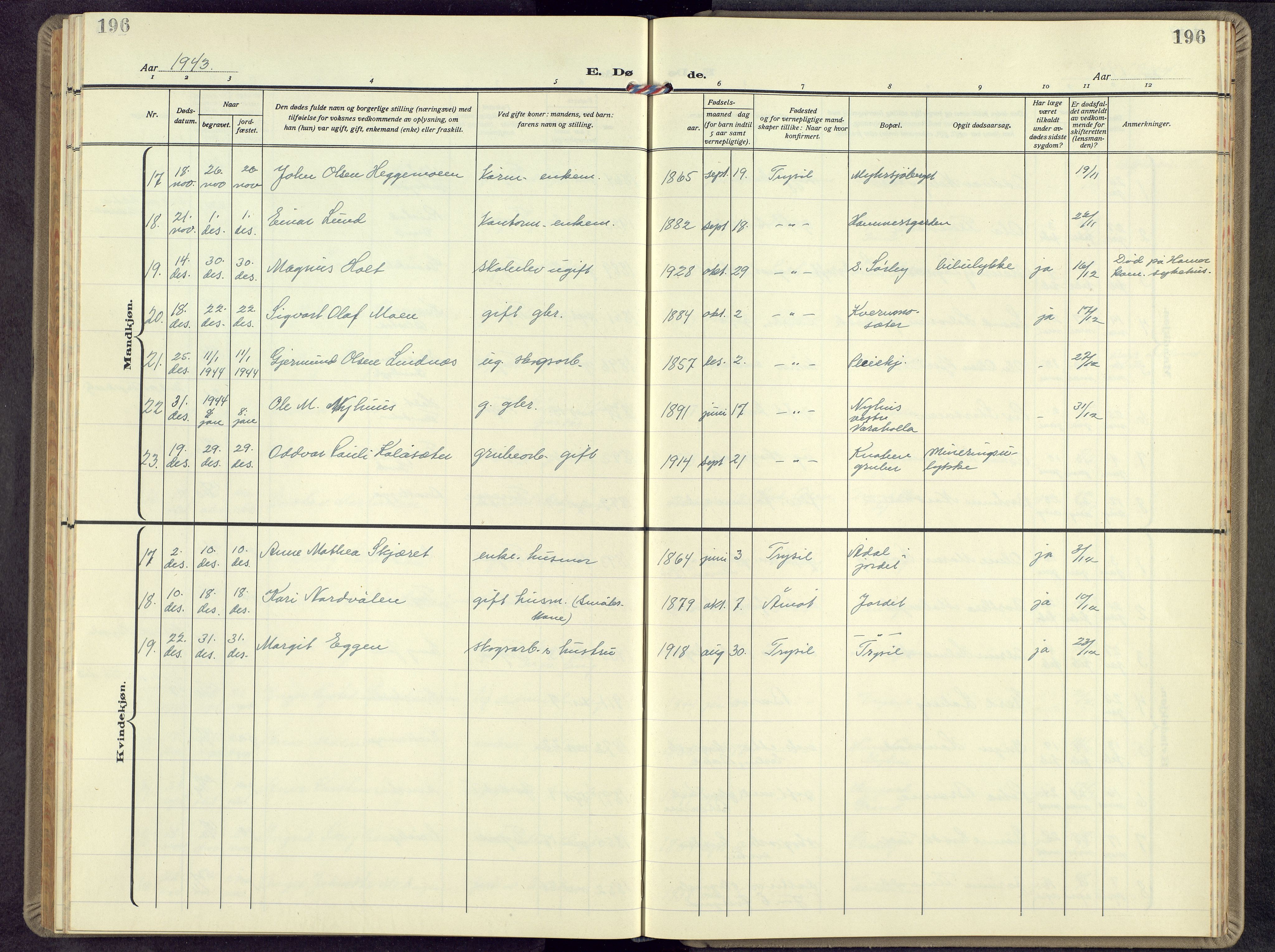 Trysil prestekontor, AV/SAH-PREST-046/H/Ha/Hab/L0012: Parish register (copy) no. 12, 1938-1959, p. 196