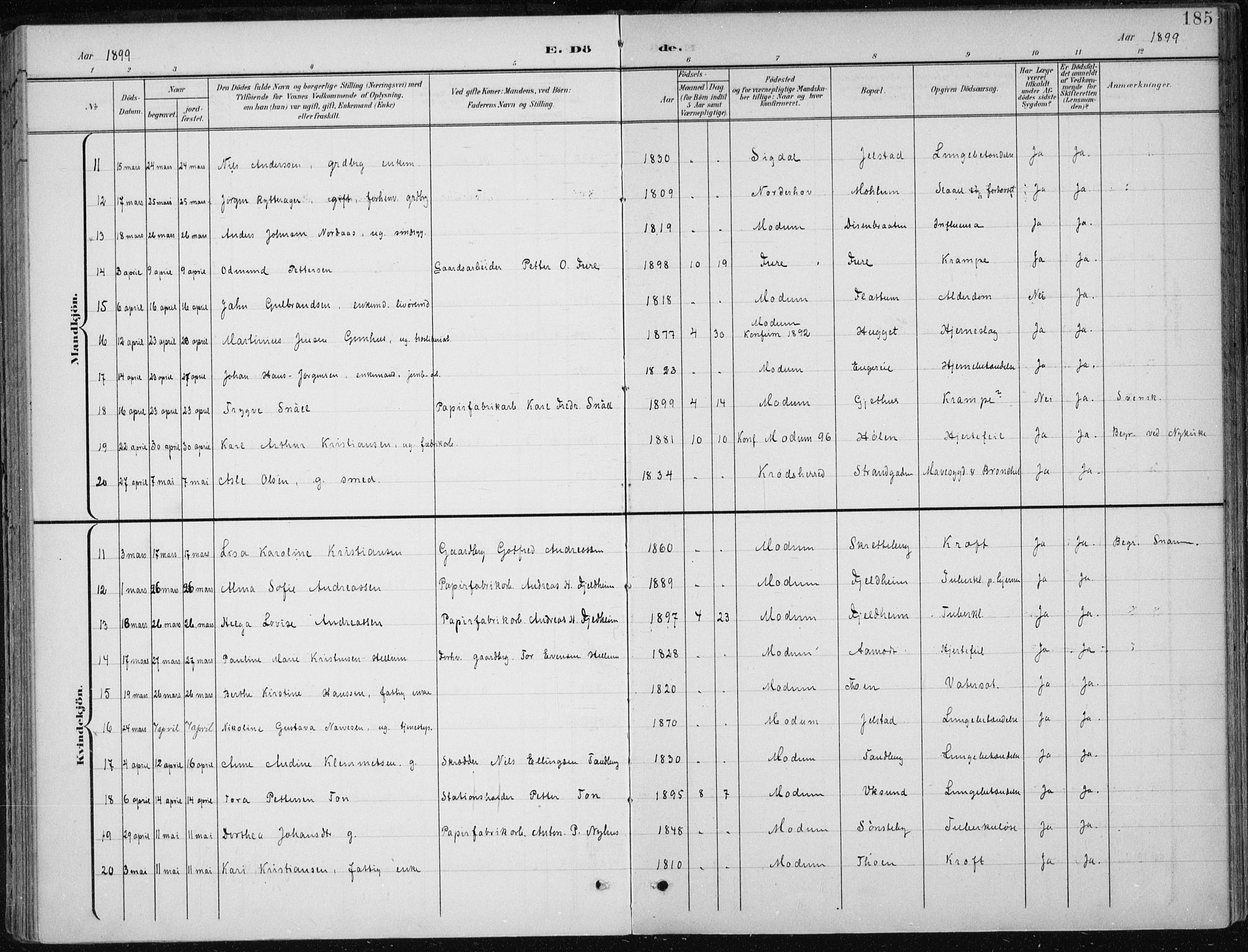 Modum kirkebøker, SAKO/A-234/F/Fa/L0013: Parish register (official) no. 13, 1899-1907, p. 185
