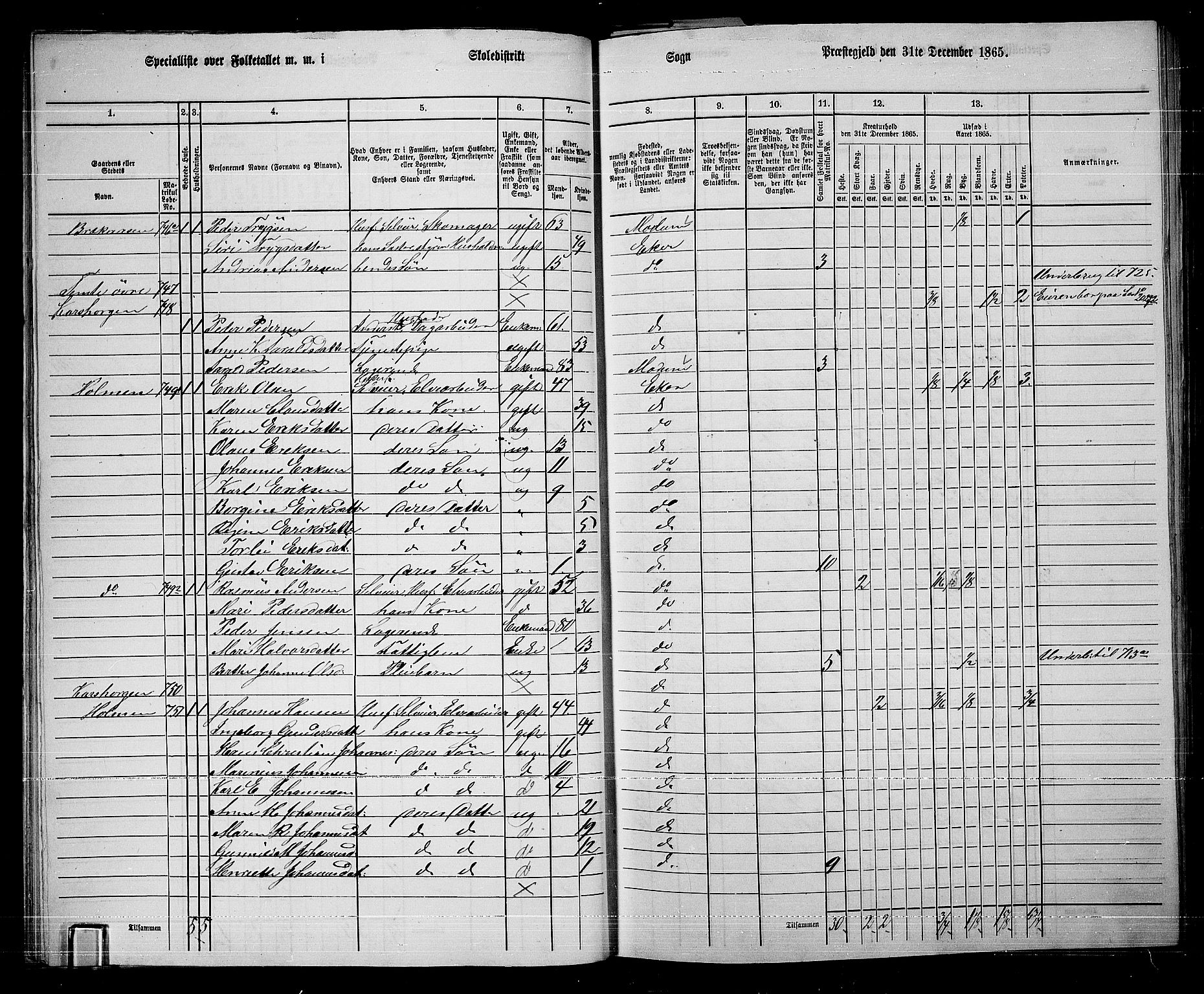 RA, 1865 census for Eiker, 1865, p. 315