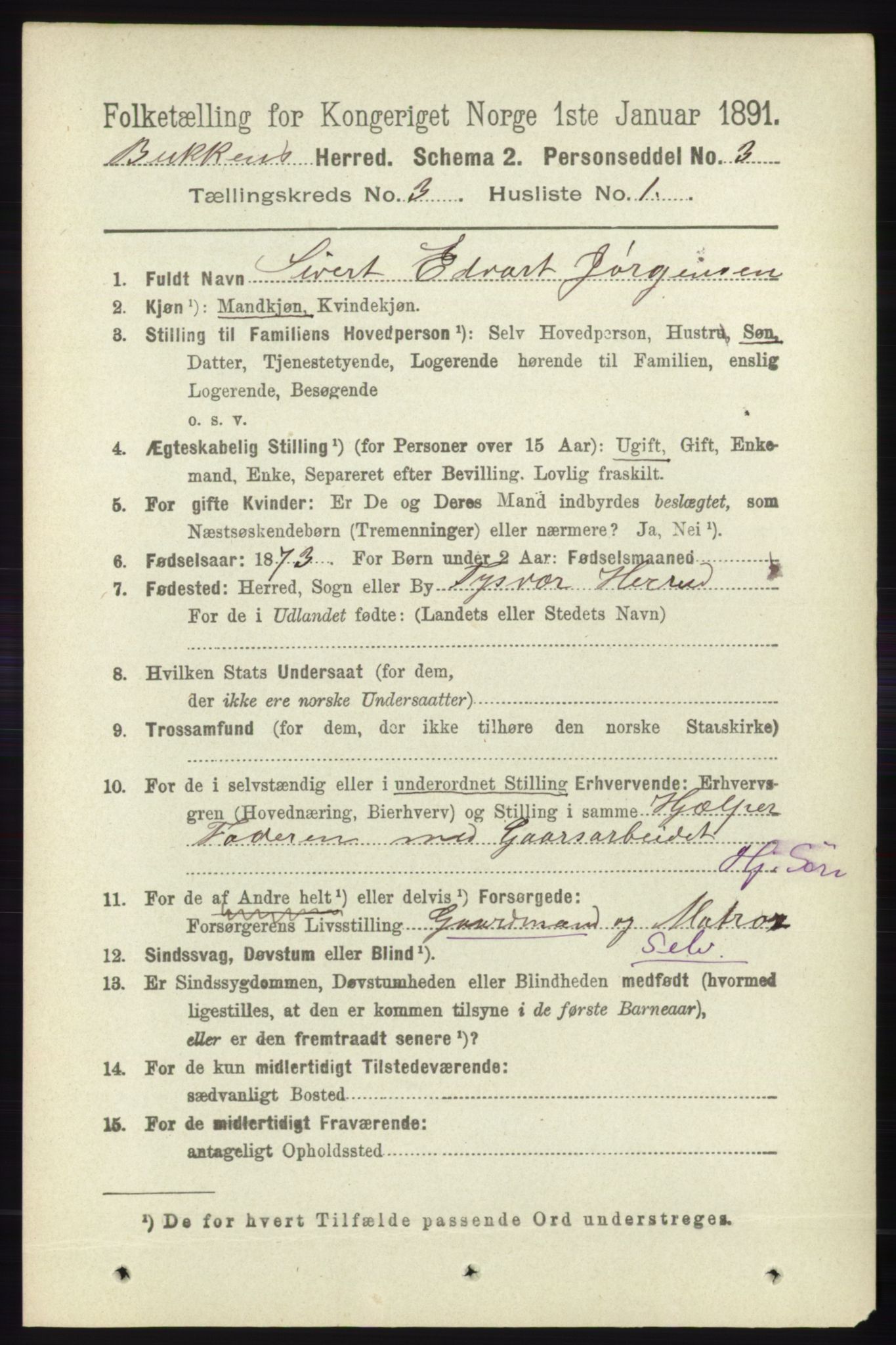 RA, 1891 census for 1145 Bokn, 1891, p. 628