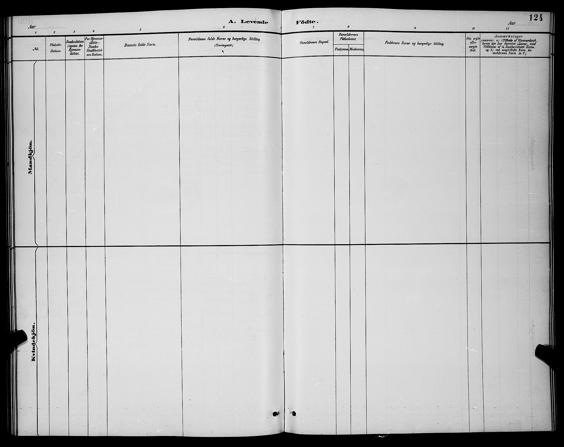 Dypvåg sokneprestkontor, AV/SAK-1111-0007/F/Fb/Fba/L0013: Parish register (copy) no. B 13, 1887-1900, p. 124