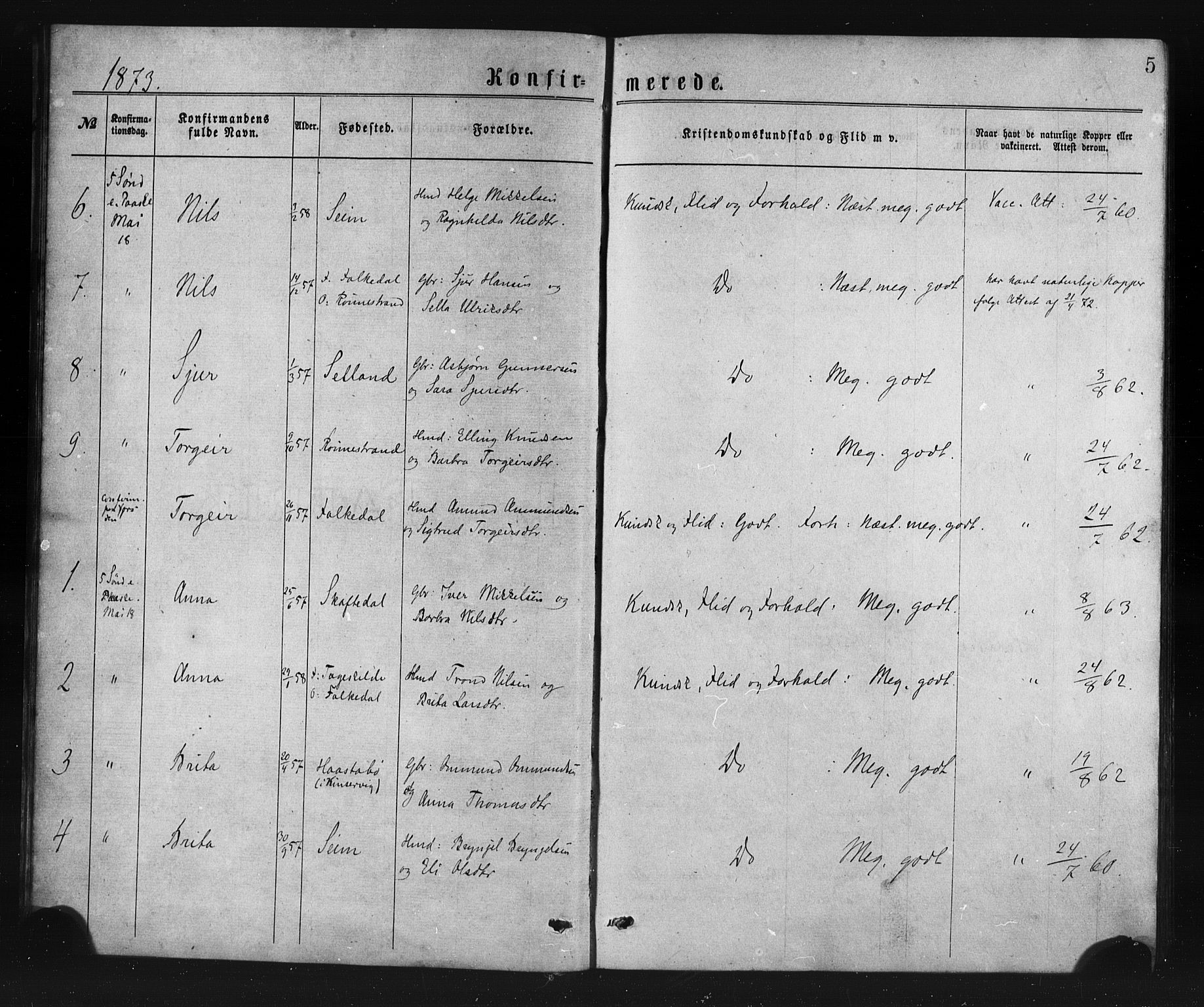 Ulvik sokneprestembete, AV/SAB-A-78801/H/Haa: Parish register (official) no. A 17, 1873-1891, p. 5
