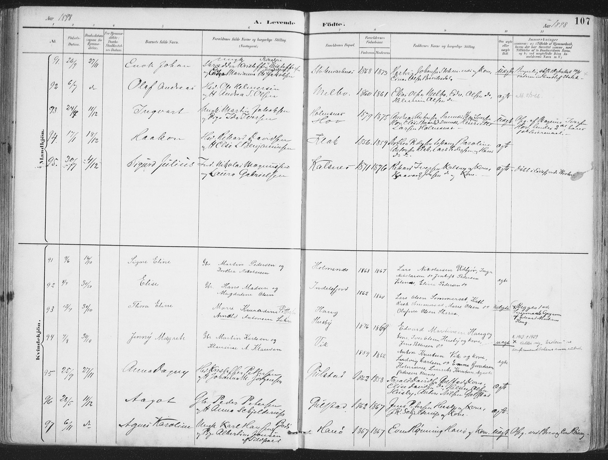 Ministerialprotokoller, klokkerbøker og fødselsregistre - Nordland, SAT/A-1459/888/L1246: Parish register (official) no. 888A12, 1891-1903, p. 107