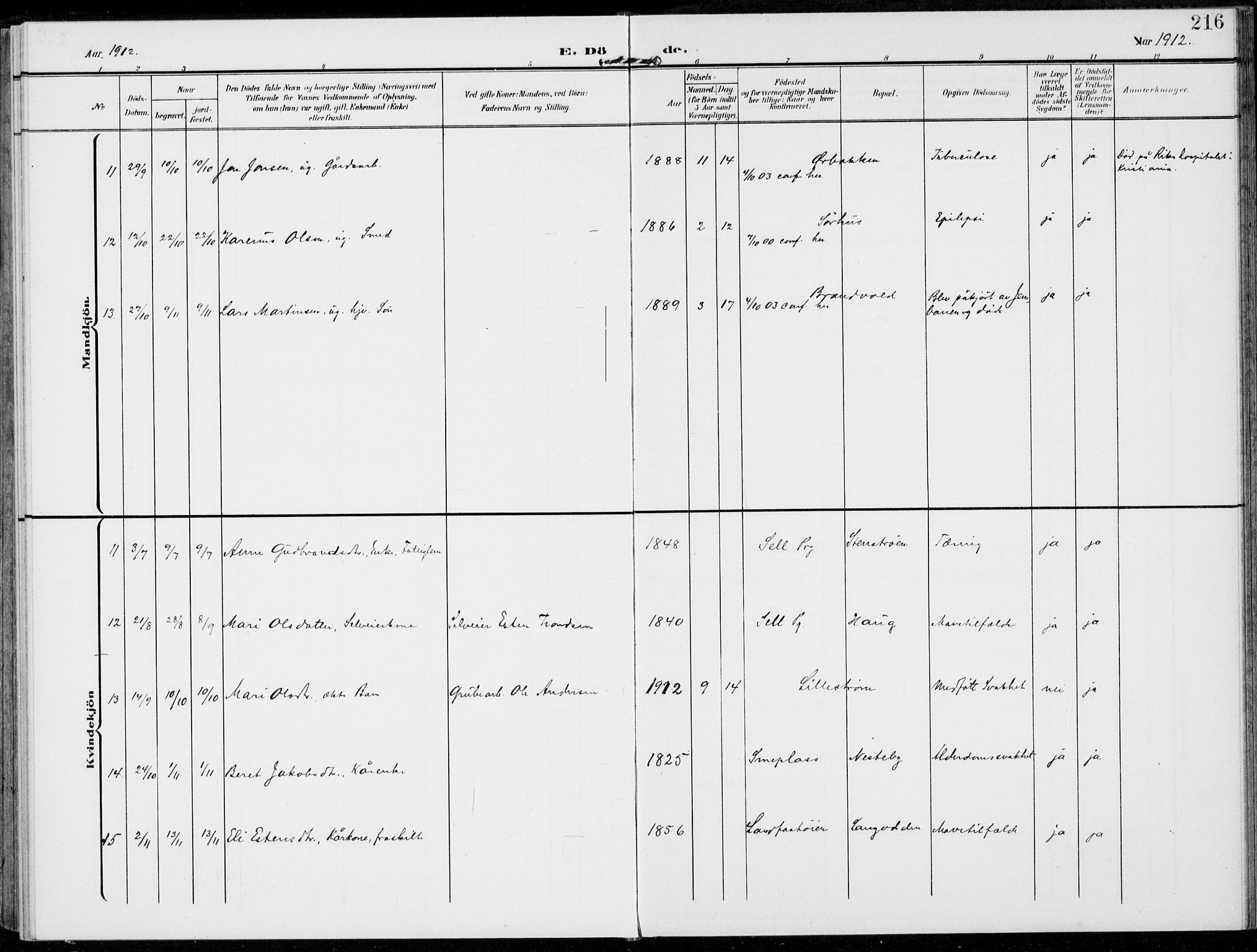 Alvdal prestekontor, AV/SAH-PREST-060/H/Ha/Haa/L0004: Parish register (official) no. 4, 1907-1919, p. 216