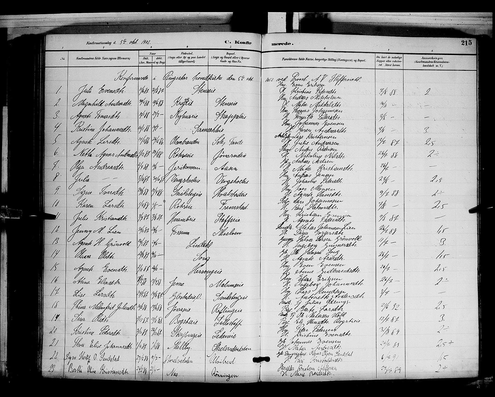Ringsaker prestekontor, SAH/PREST-014/L/La/L0012: Parish register (copy) no. 12, 1891-1902, p. 215