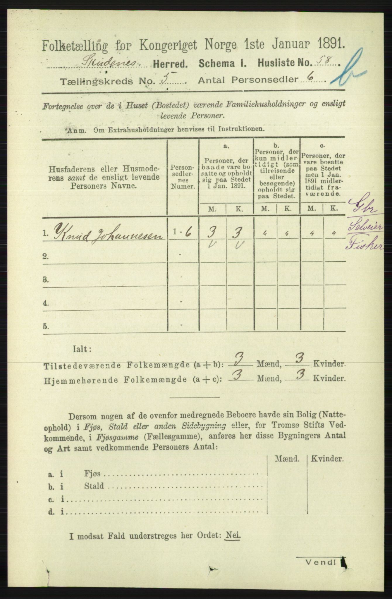 RA, 1891 census for 1150 Skudenes, 1891, p. 5223