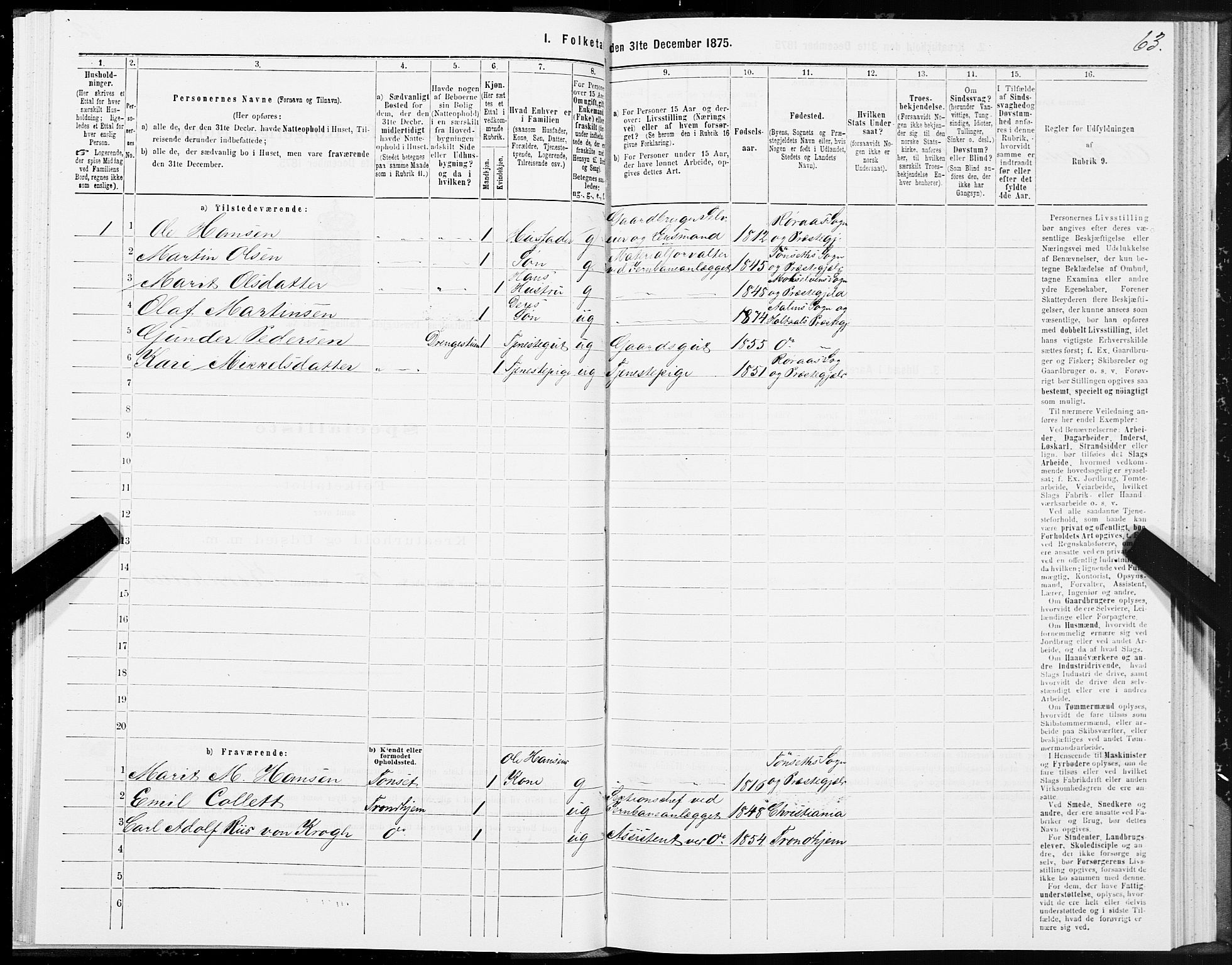SAT, 1875 census for 1645P Haltdalen, 1875, p. 4063