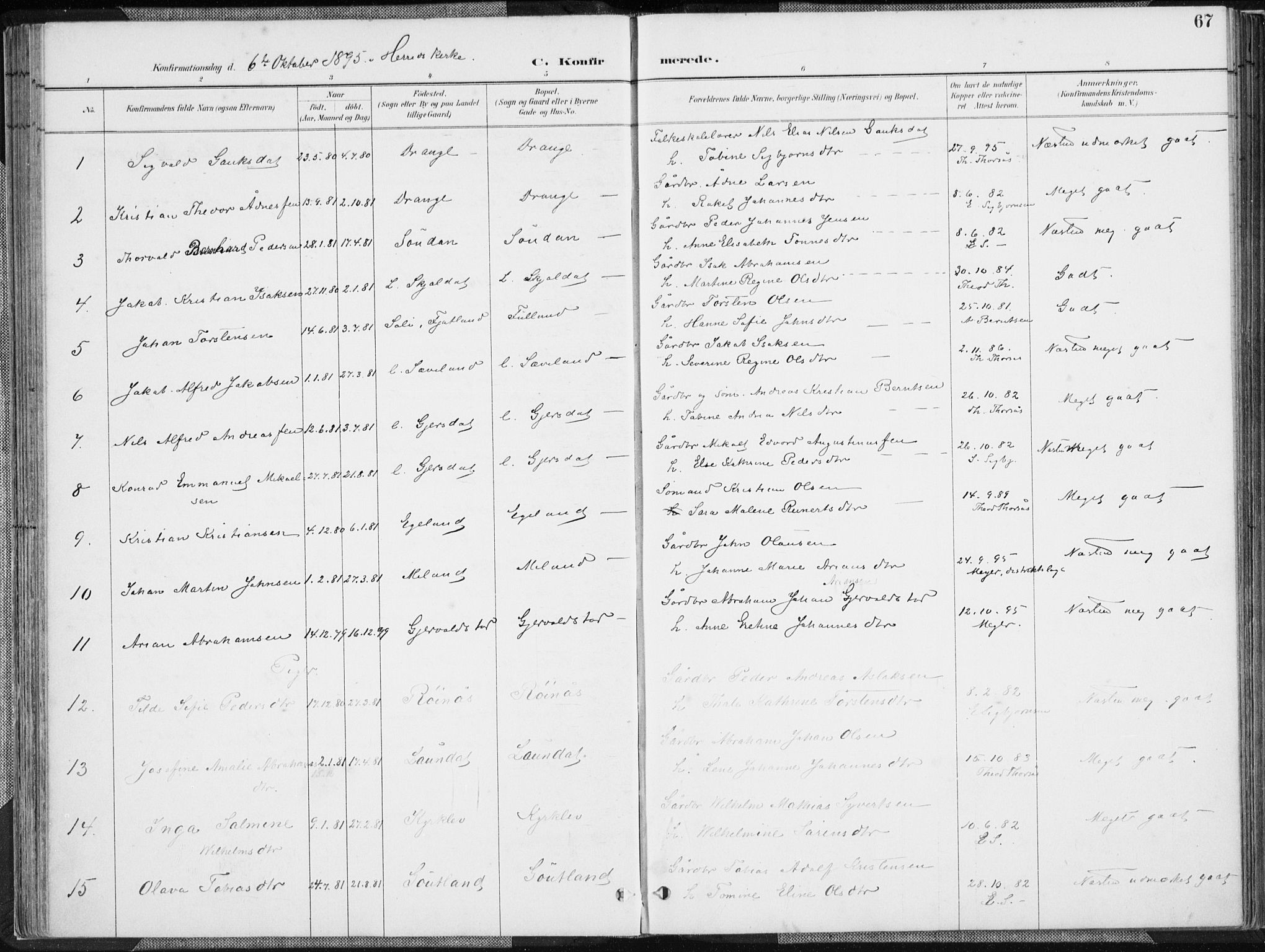 Herad sokneprestkontor, SAK/1111-0018/F/Fa/Faa/L0006: Parish register (official) no. A 6, 1887-1907, p. 67