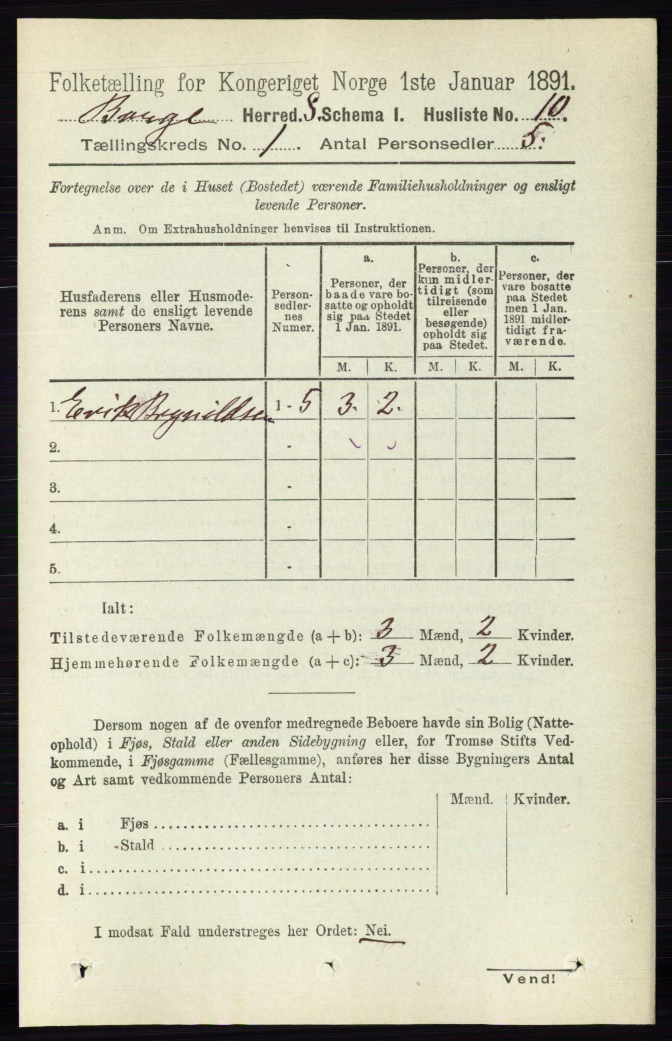 RA, 1891 census for 0113 Borge, 1891, p. 37