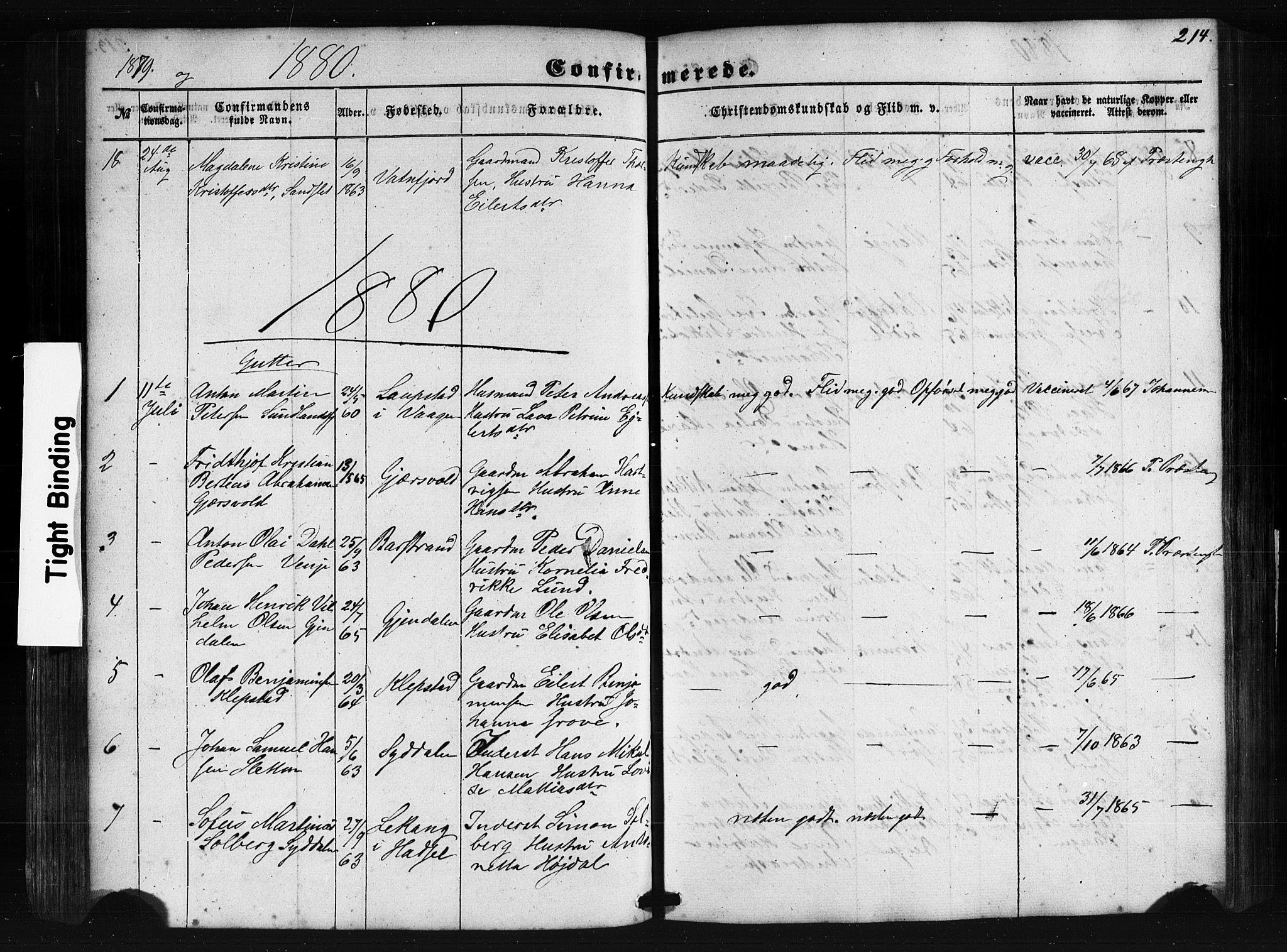Ministerialprotokoller, klokkerbøker og fødselsregistre - Nordland, SAT/A-1459/876/L1095: Parish register (official) no. 876A01, 1863-1885, p. 214