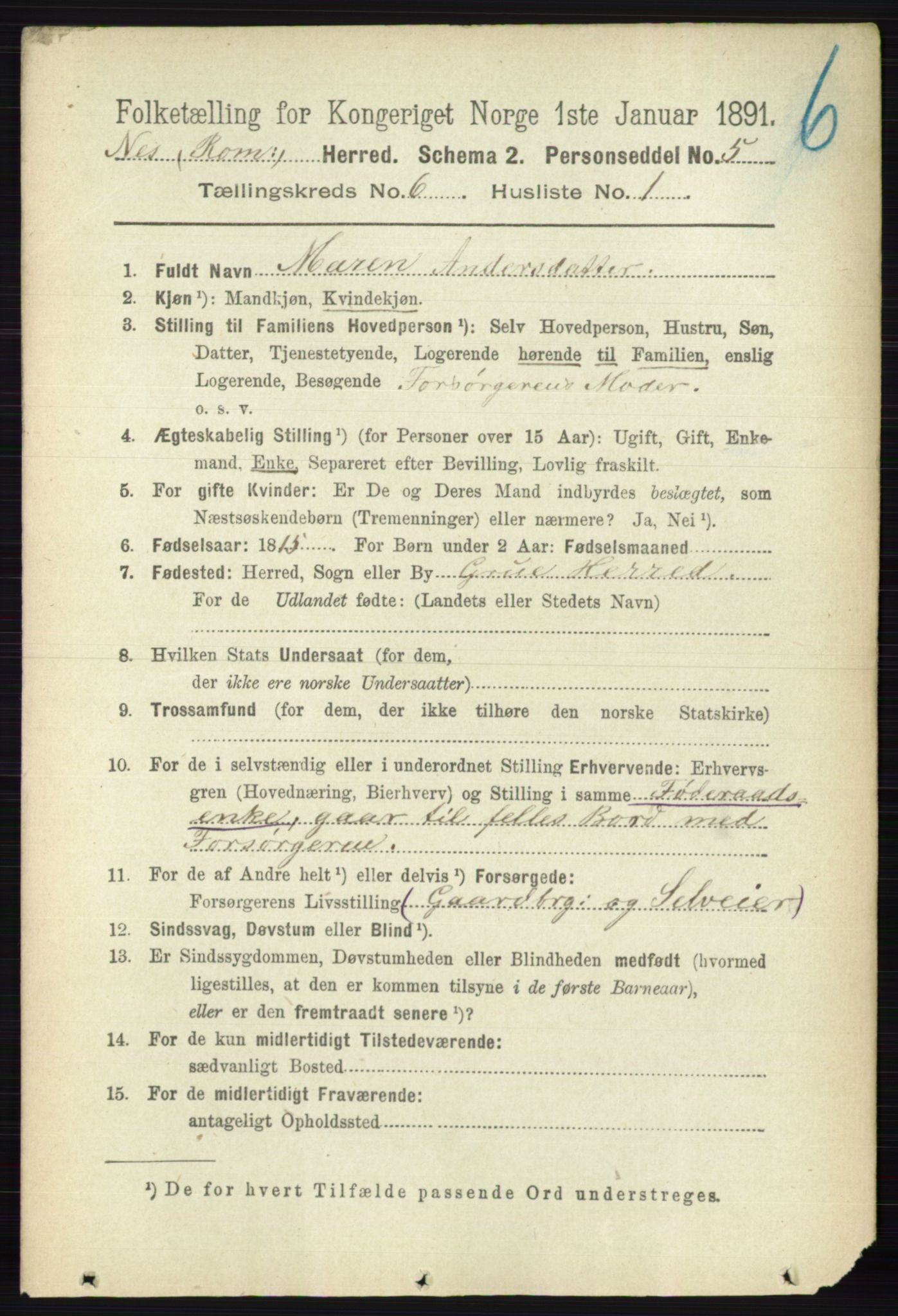 RA, 1891 census for 0236 Nes, 1891, p. 3398