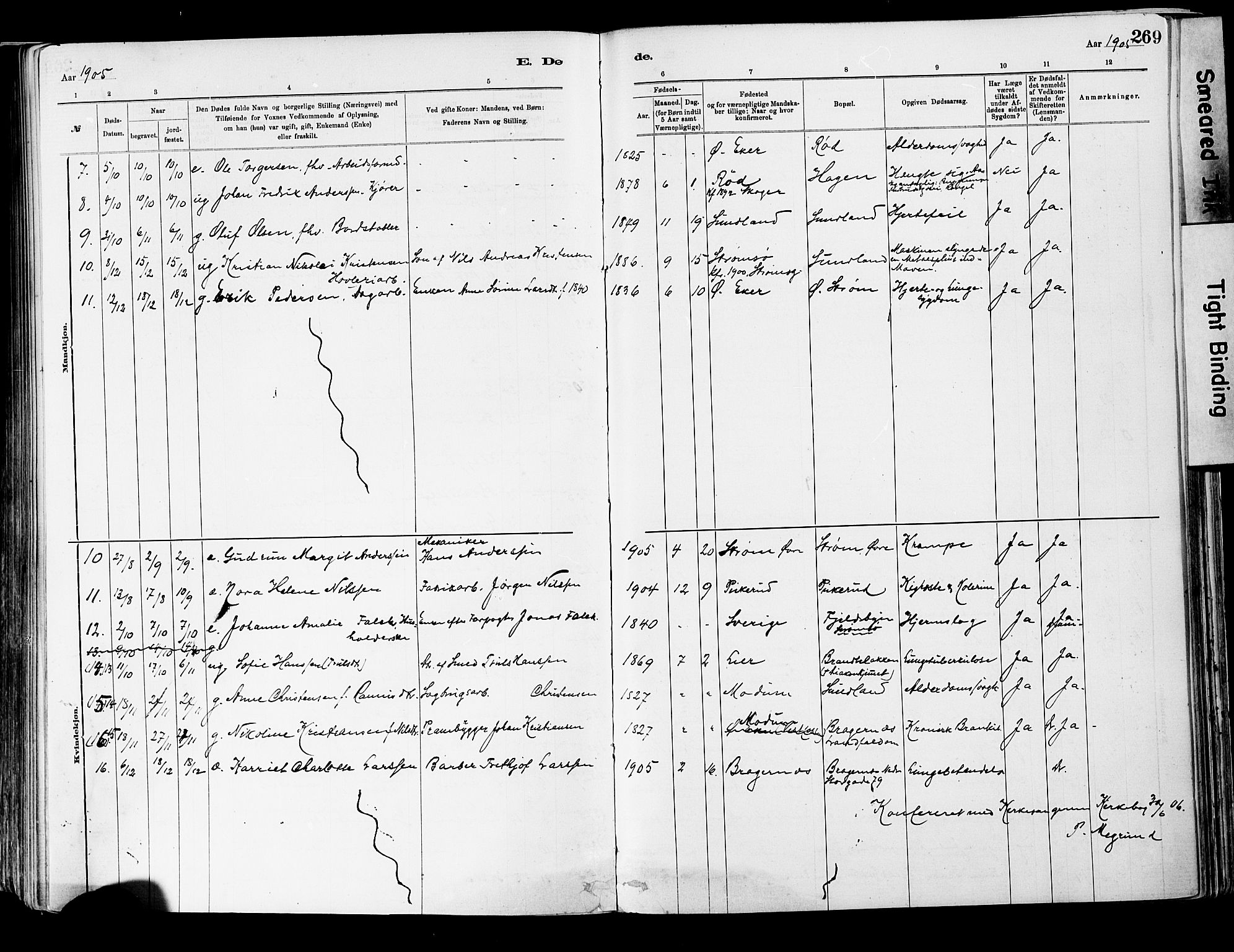 Strømsgodset kirkebøker, AV/SAKO-A-324/F/Fa/L0001: Parish register (official) no. 1, 1885-1909, p. 269