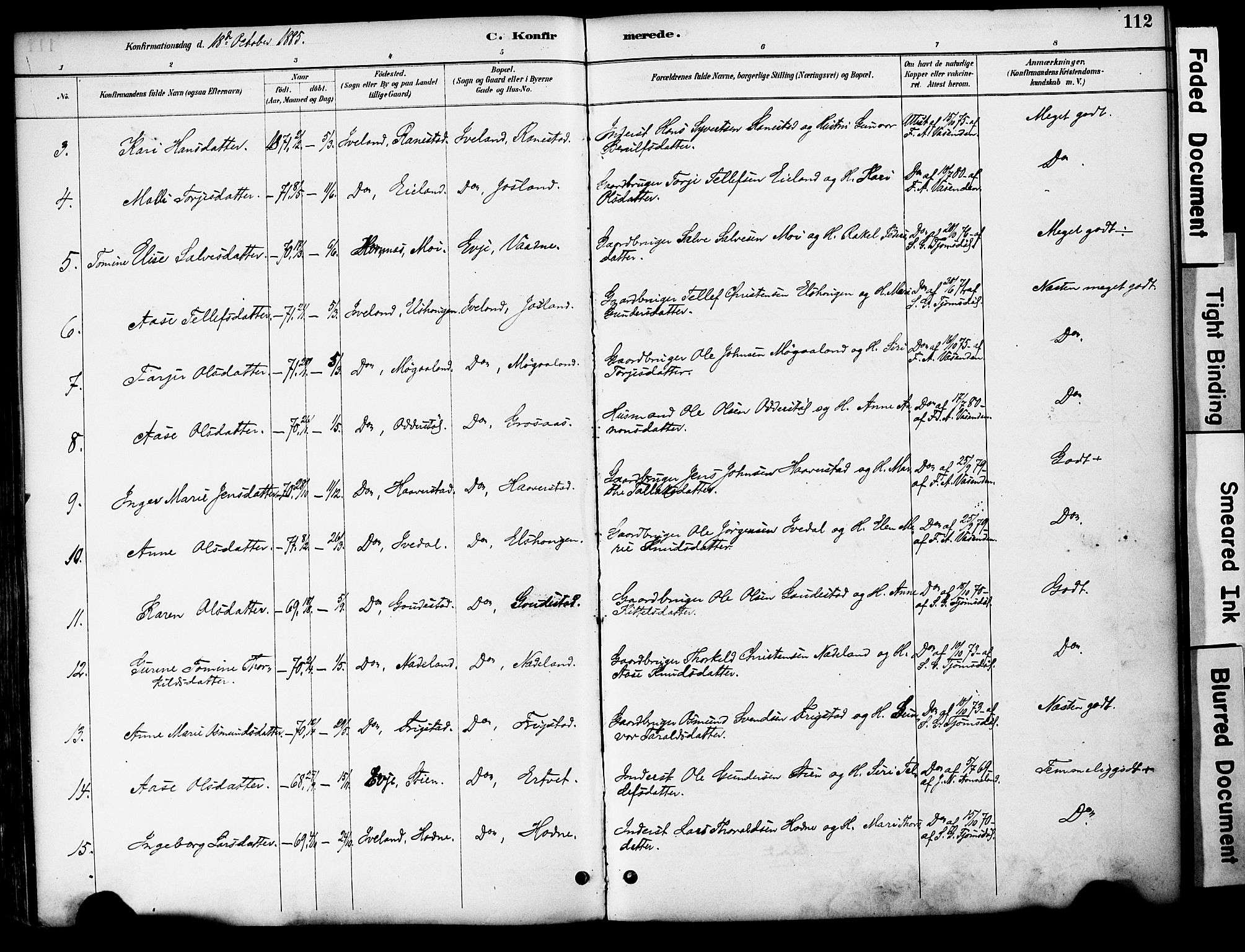 Evje sokneprestkontor, AV/SAK-1111-0008/F/Fa/Fac/L0003: Parish register (official) no. A 3, 1884-1909, p. 112