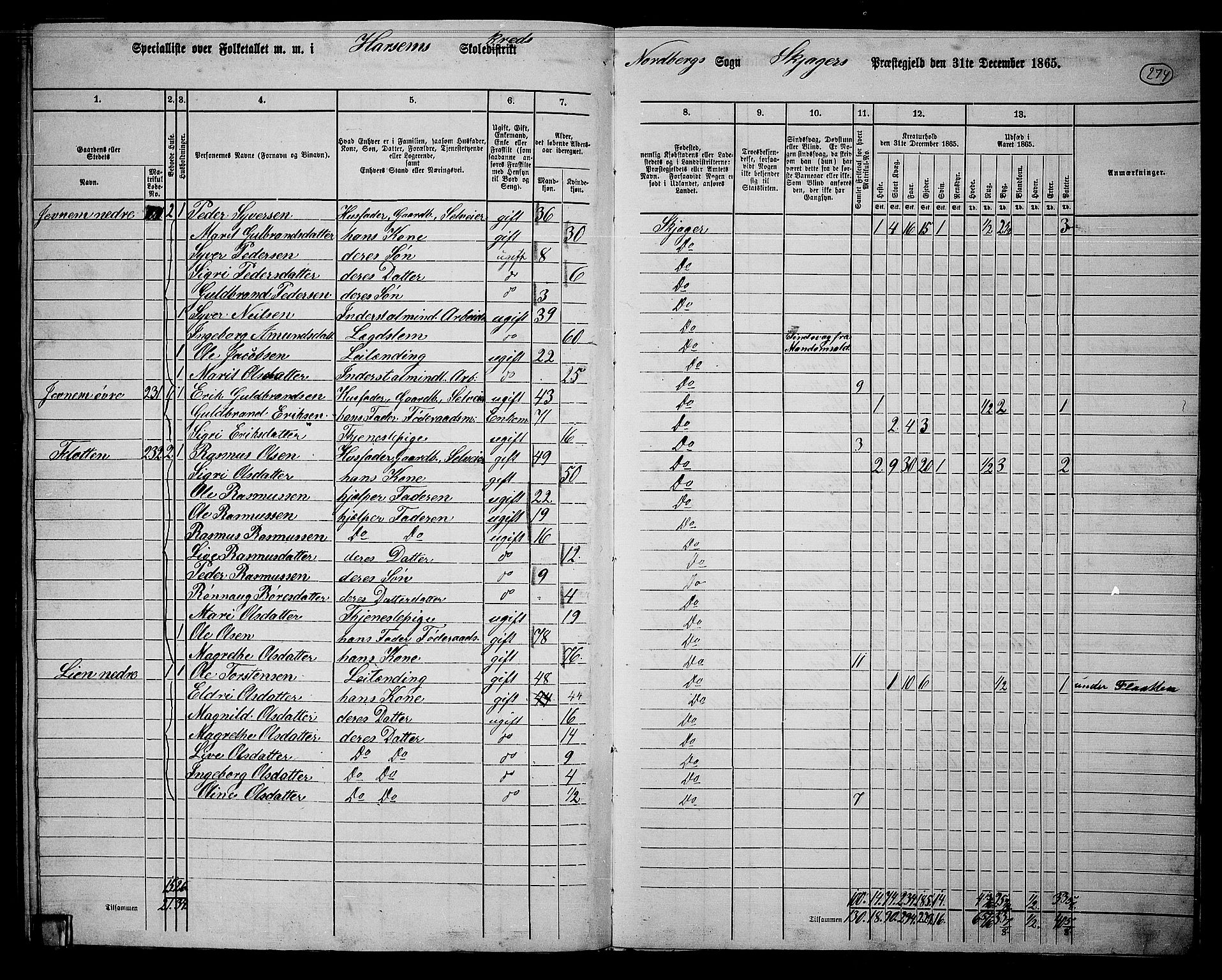 RA, 1865 census for Skjåk, 1865, p. 110