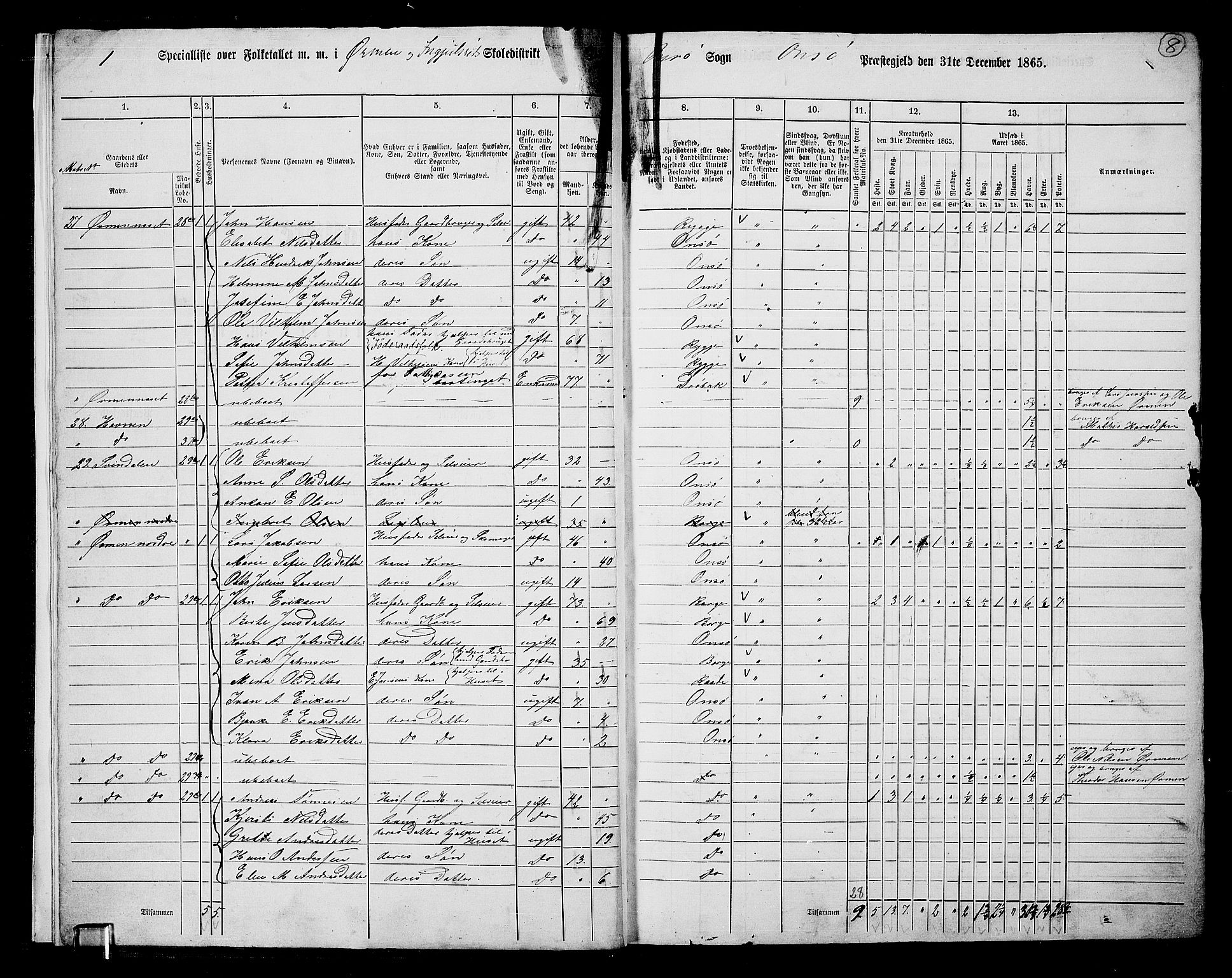 RA, 1865 census for Onsøy, 1865, p. 11