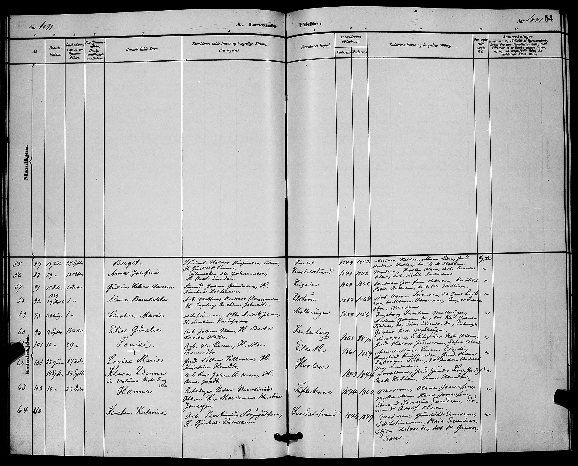 Solum kirkebøker, AV/SAKO-A-306/G/Ga/L0007: Parish register (copy) no. I 7, 1884-1898, p. 54