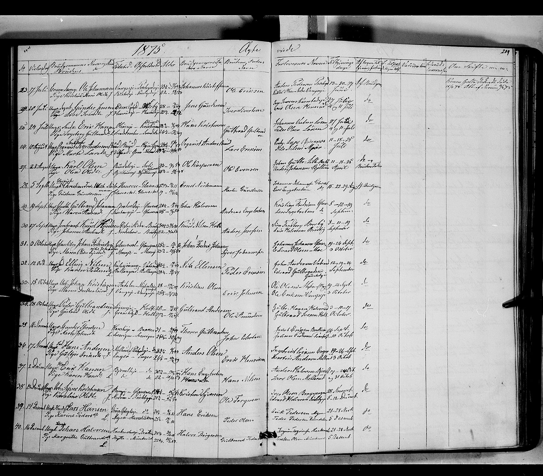 Jevnaker prestekontor, SAH/PREST-116/H/Ha/Haa/L0007: Parish register (official) no. 7, 1858-1876, p. 209