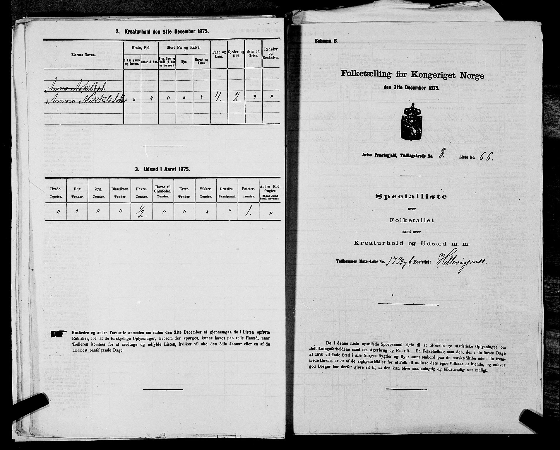 SAST, 1875 census for 1138P Jelsa, 1875, p. 803