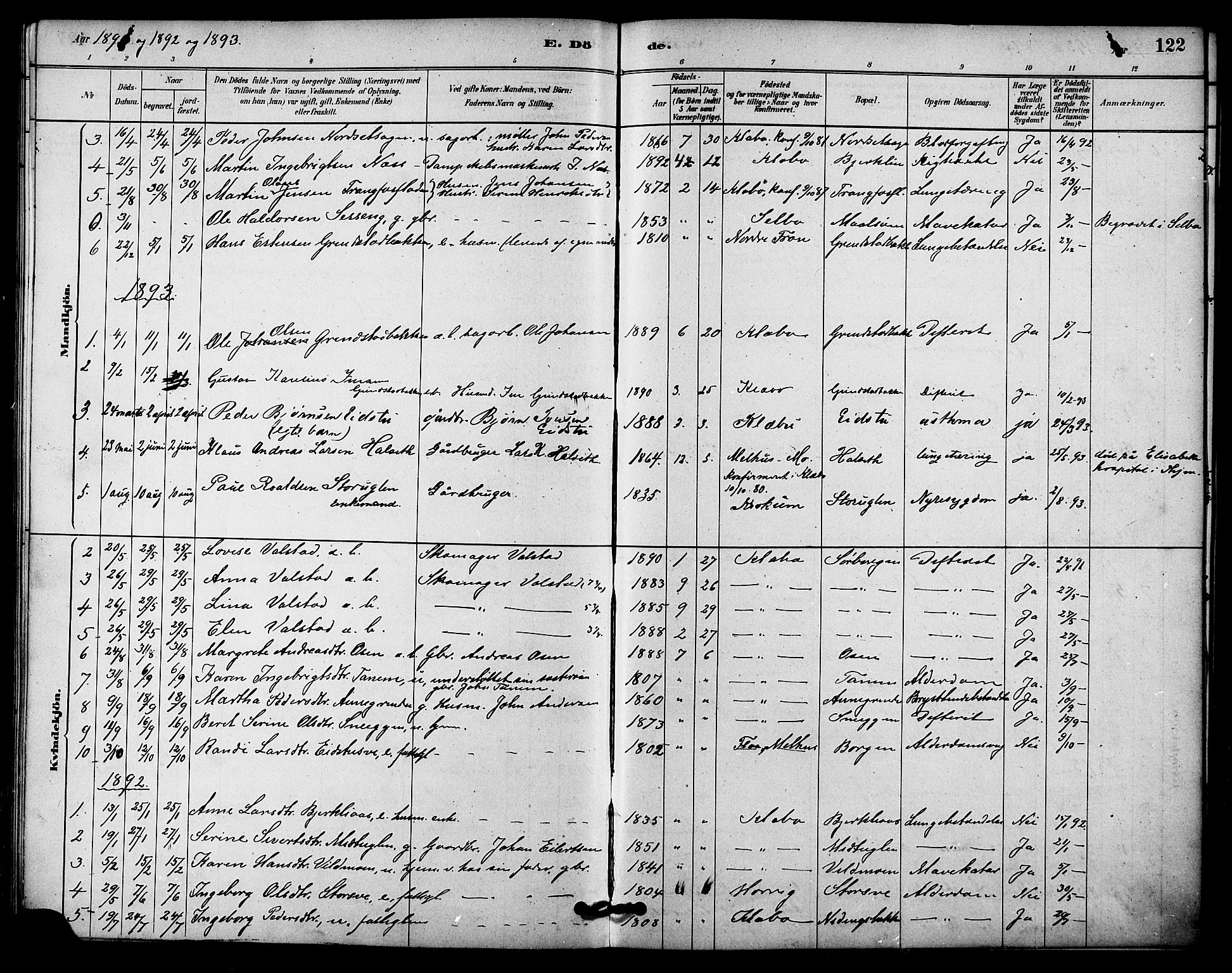 Ministerialprotokoller, klokkerbøker og fødselsregistre - Sør-Trøndelag, SAT/A-1456/618/L0444: Parish register (official) no. 618A07, 1880-1898, p. 122
