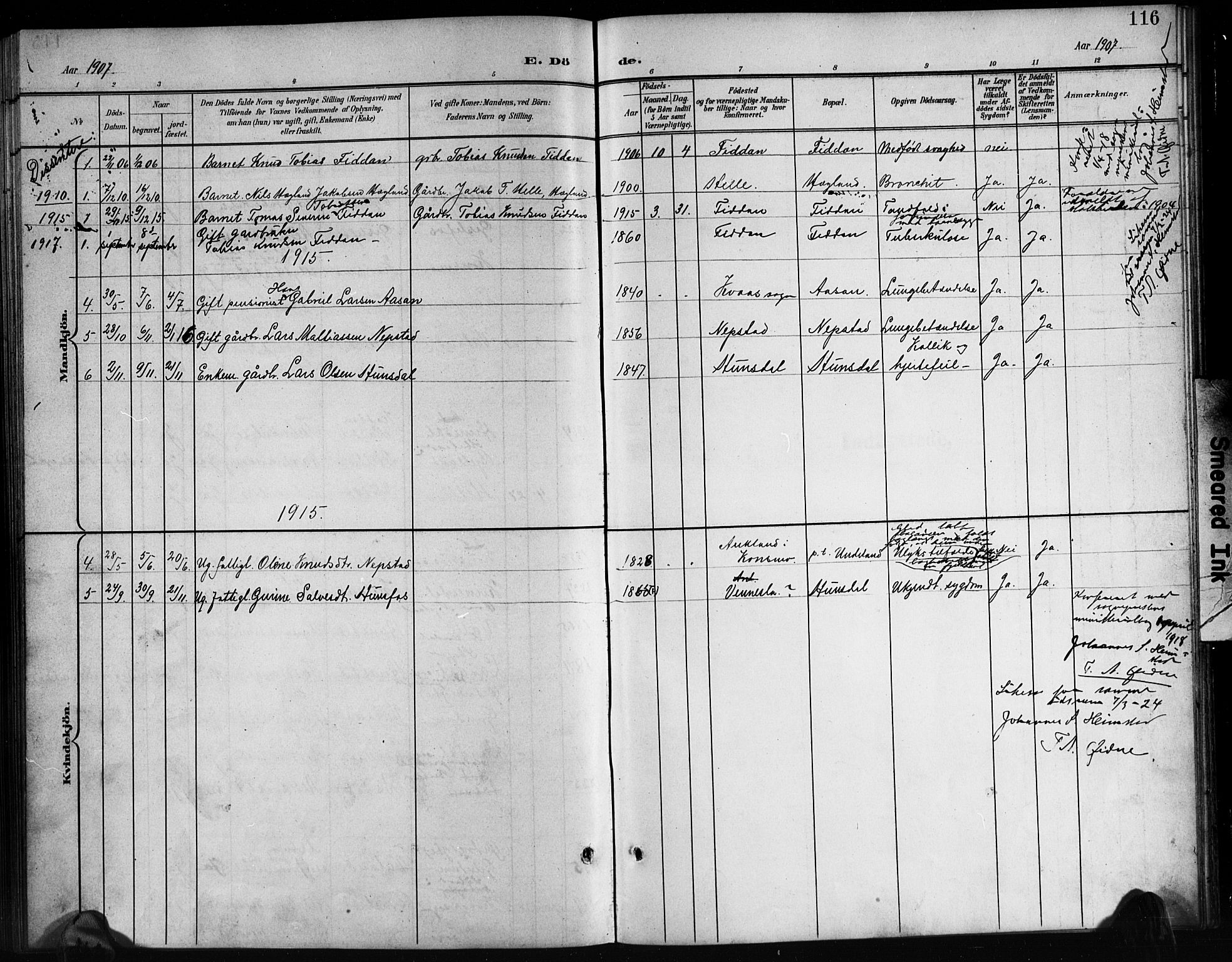 Nord-Audnedal sokneprestkontor, SAK/1111-0032/F/Fb/Fba/L0004: Parish register (copy) no. B 4, 1901-1917, p. 116