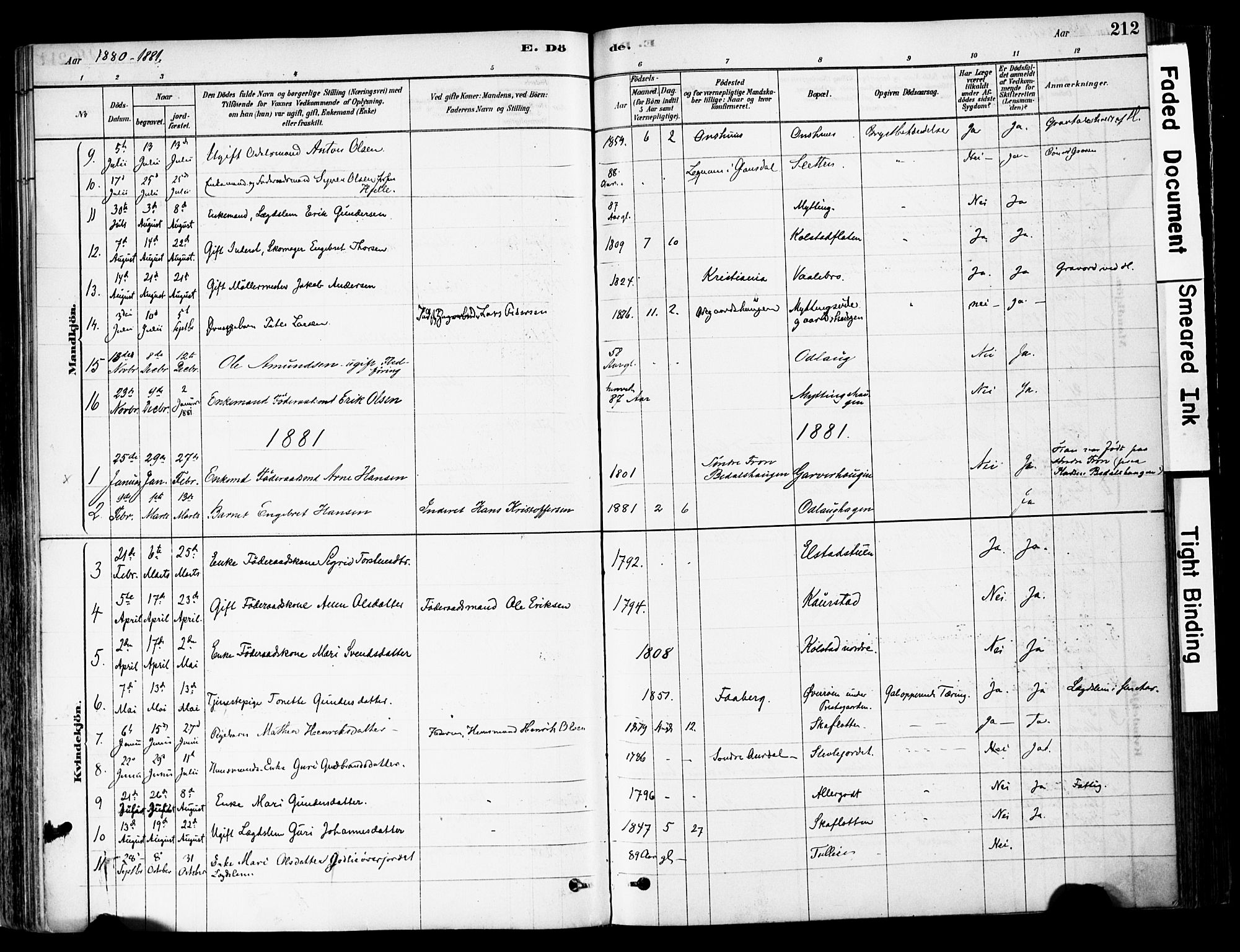 Ringebu prestekontor, SAH/PREST-082/H/Ha/Haa/L0008: Parish register (official) no. 8, 1878-1898, p. 212