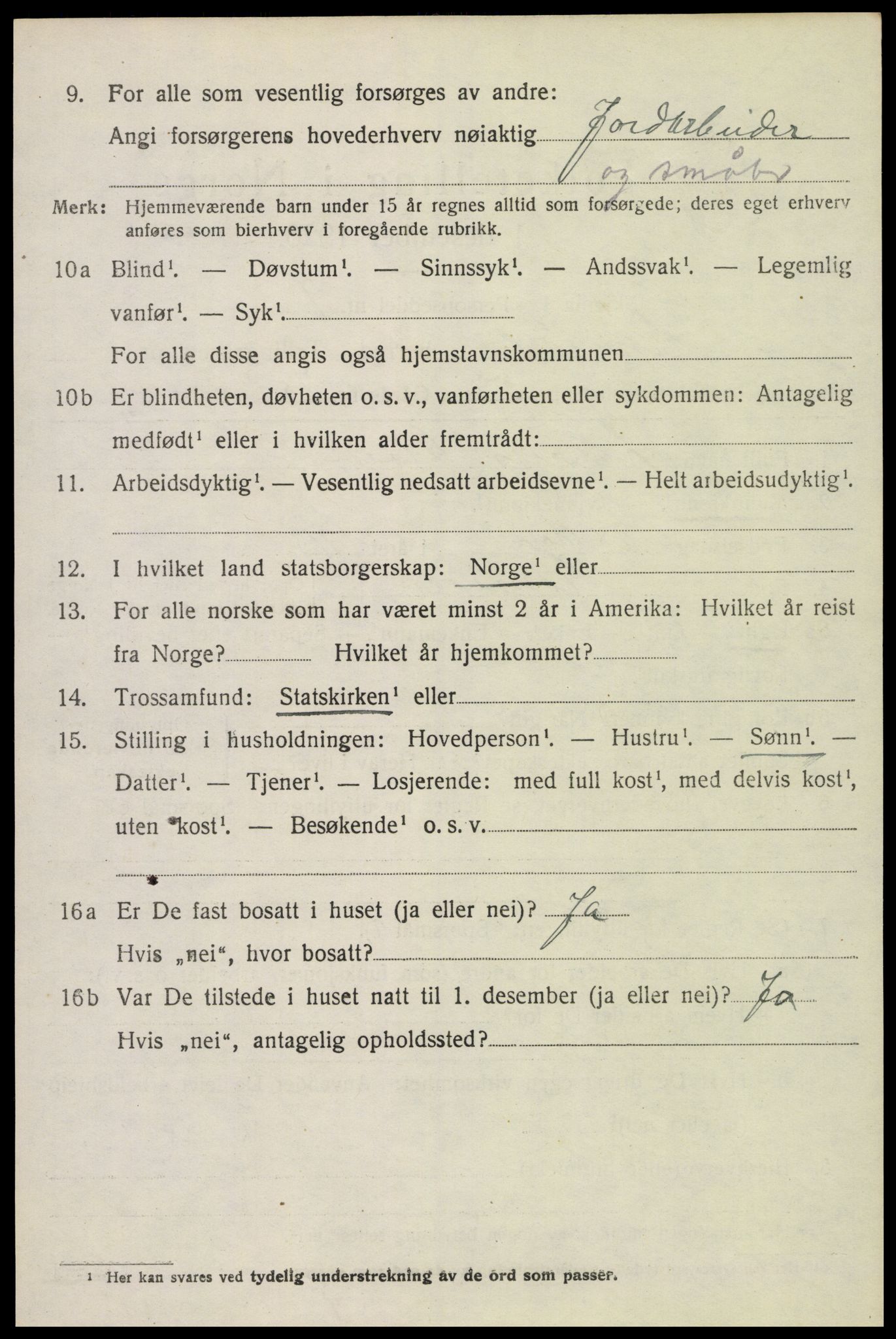 SAH, 1920 census for Romedal, 1920, p. 10348