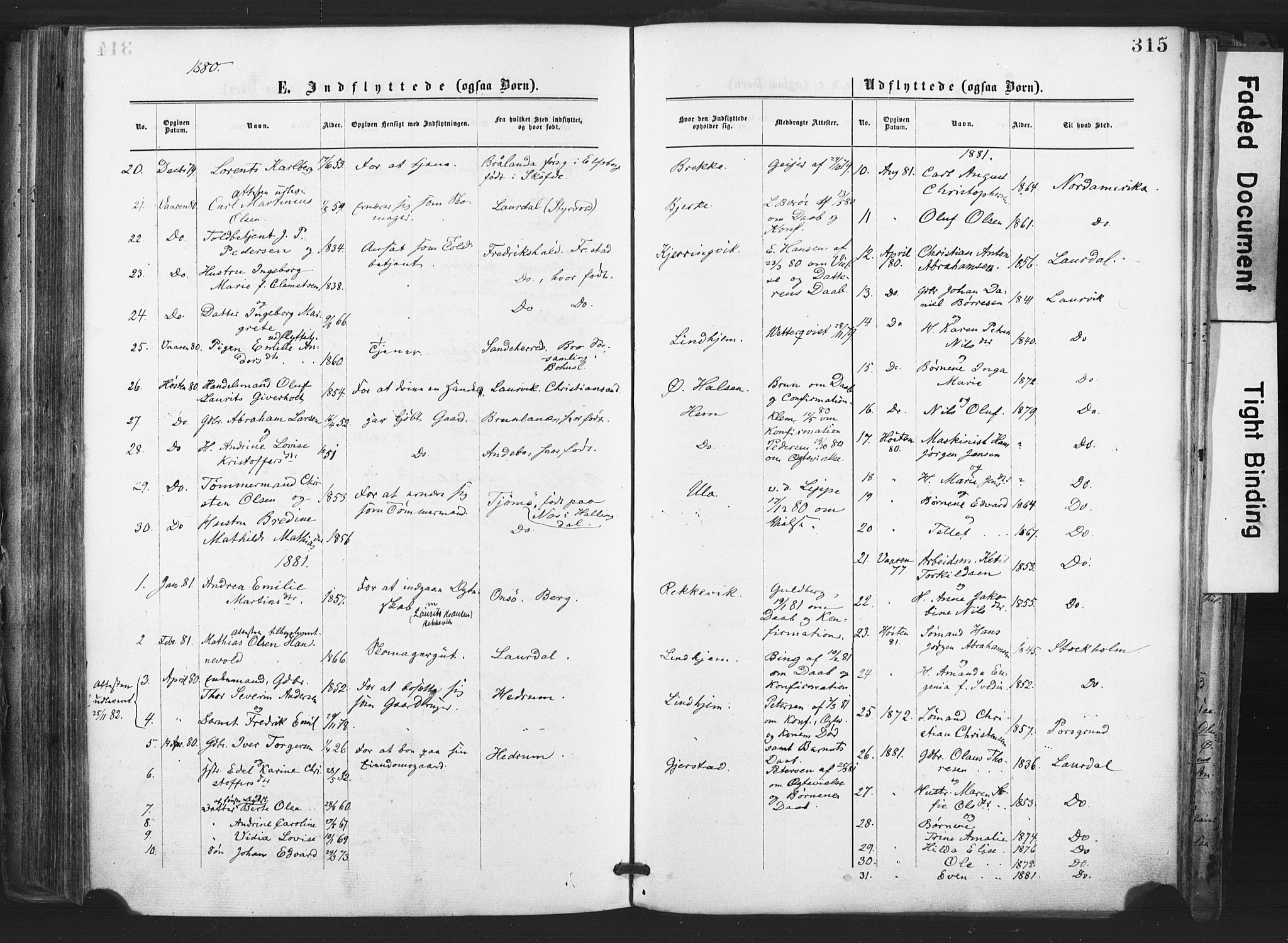 Tjølling kirkebøker, AV/SAKO-A-60/F/Fa/L0008: Parish register (official) no. 8, 1877-1886, p. 315