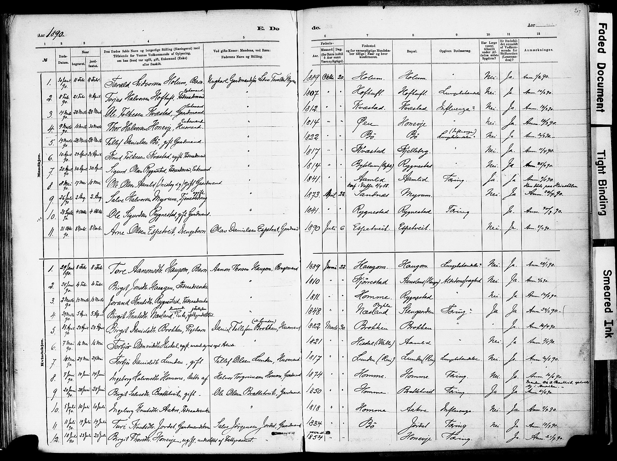 Valle sokneprestkontor, AV/SAK-1111-0044/F/Fa/Fac/L0009: Parish register (official) no. A 9, 1882-1913, p. 207