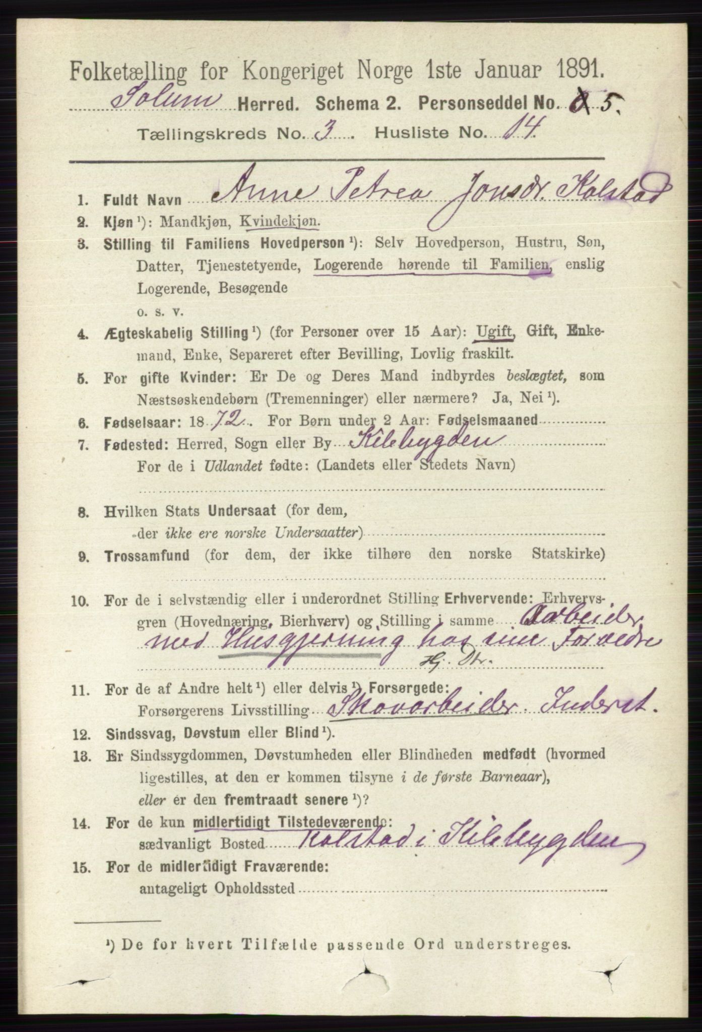 RA, 1891 census for 0818 Solum, 1891, p. 427