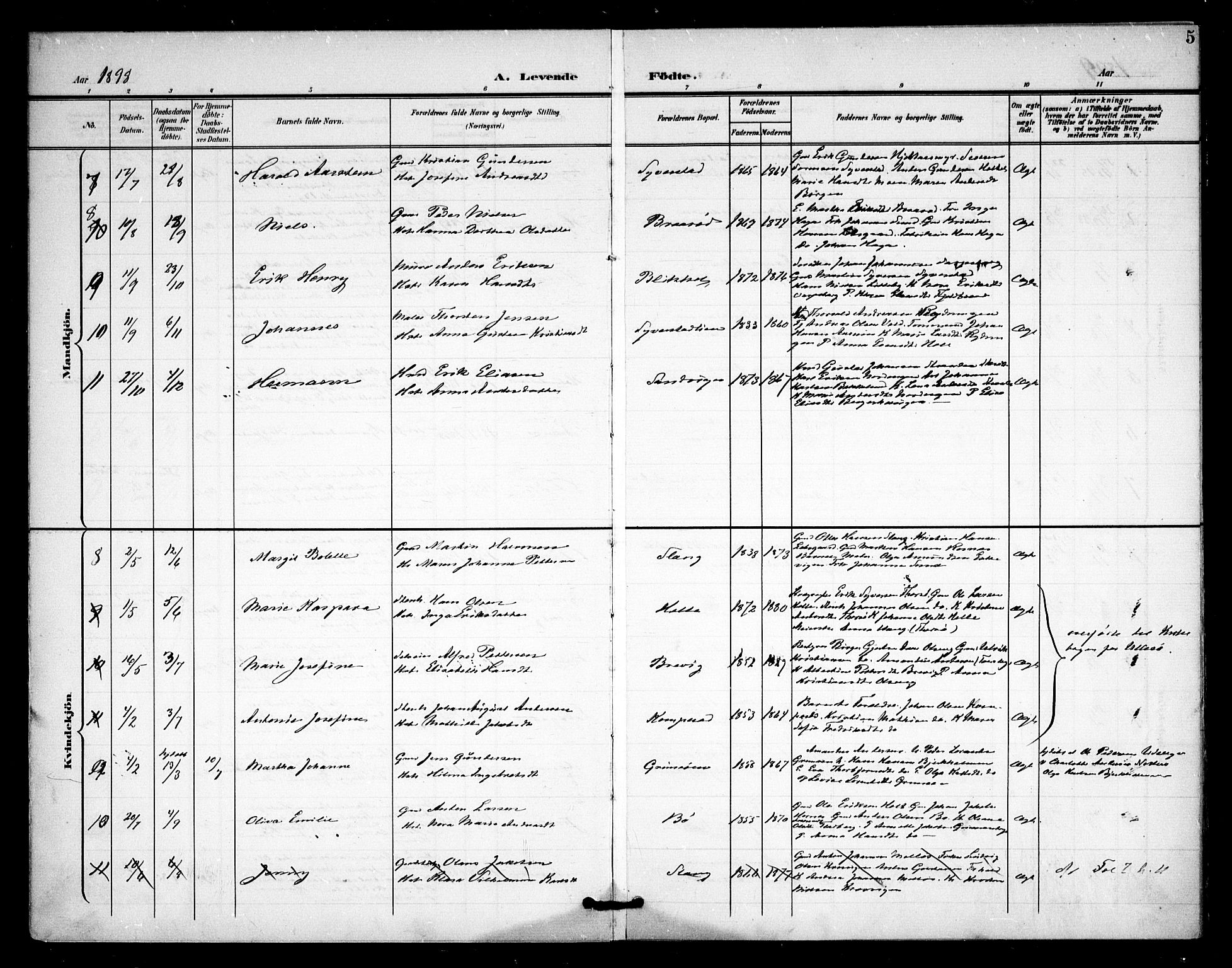 Skjeberg prestekontor Kirkebøker, AV/SAO-A-10923/F/Fc/L0002: Parish register (official) no. III 2, 1898-1915, p. 5