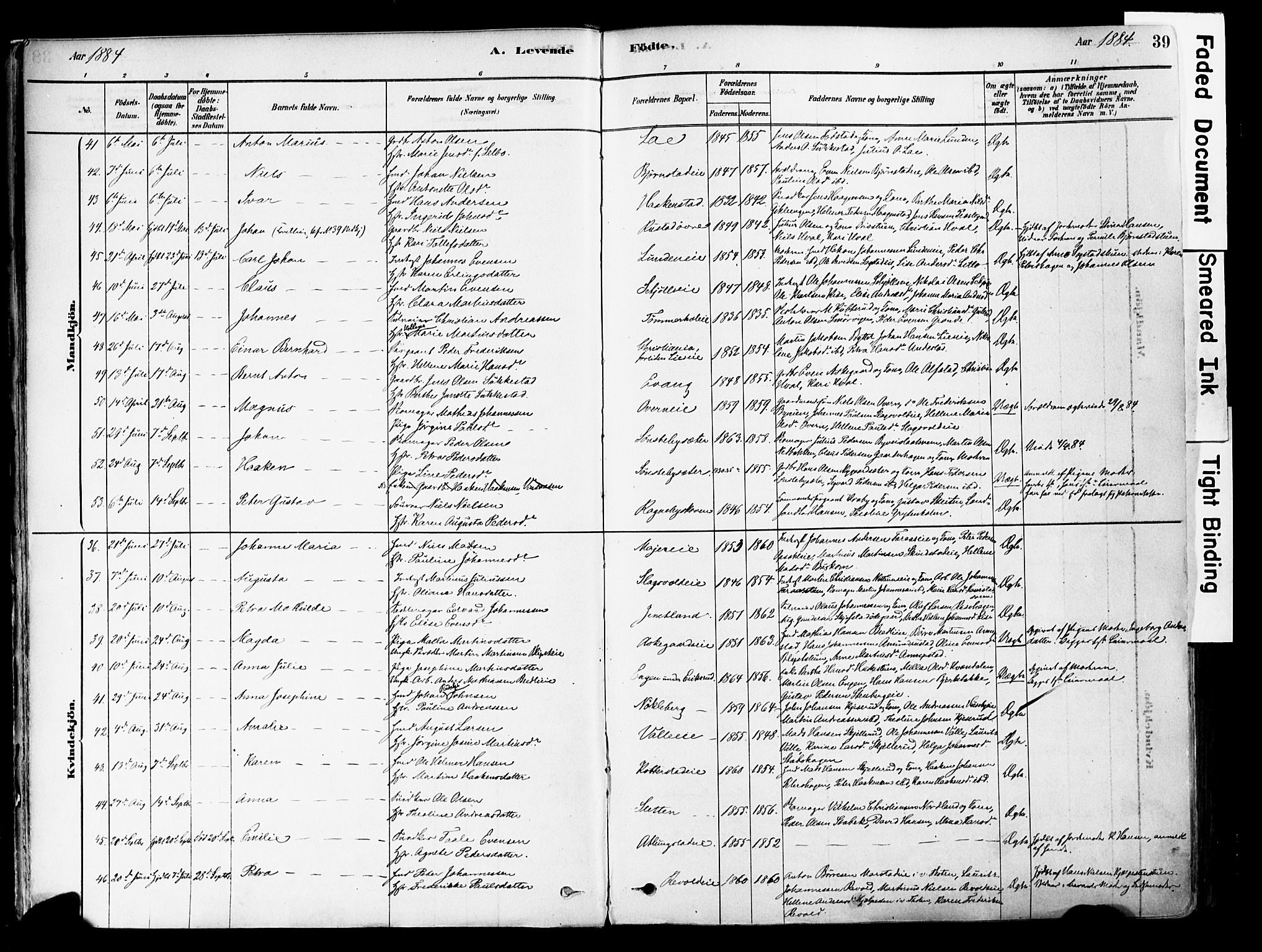 Østre Toten prestekontor, AV/SAH-PREST-104/H/Ha/Haa/L0006: Parish register (official) no. 6 /1, 1878-1896, p. 39