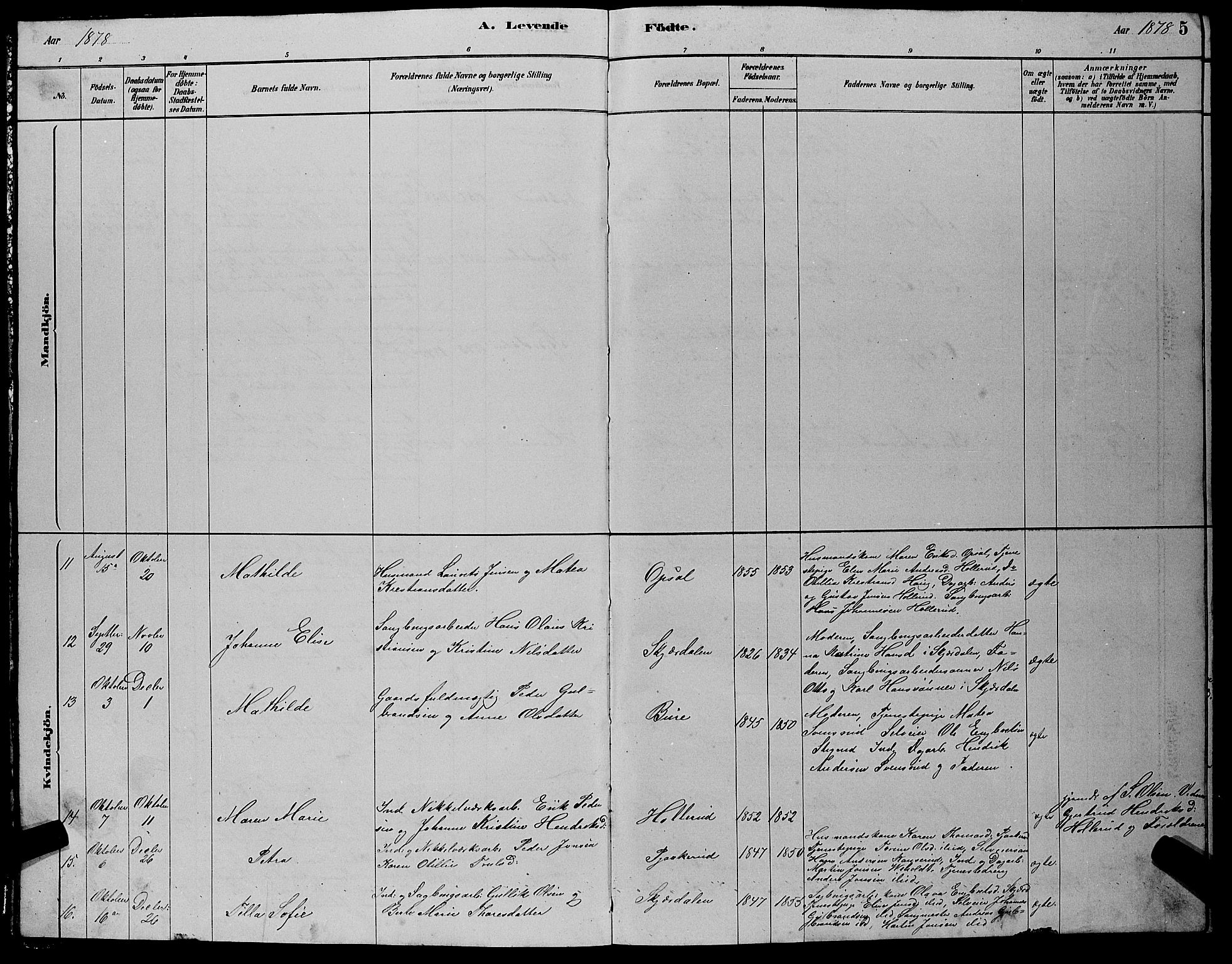 Hole kirkebøker, AV/SAKO-A-228/G/Gb/L0002: Parish register (copy) no. II 2, 1878-1889, p. 5