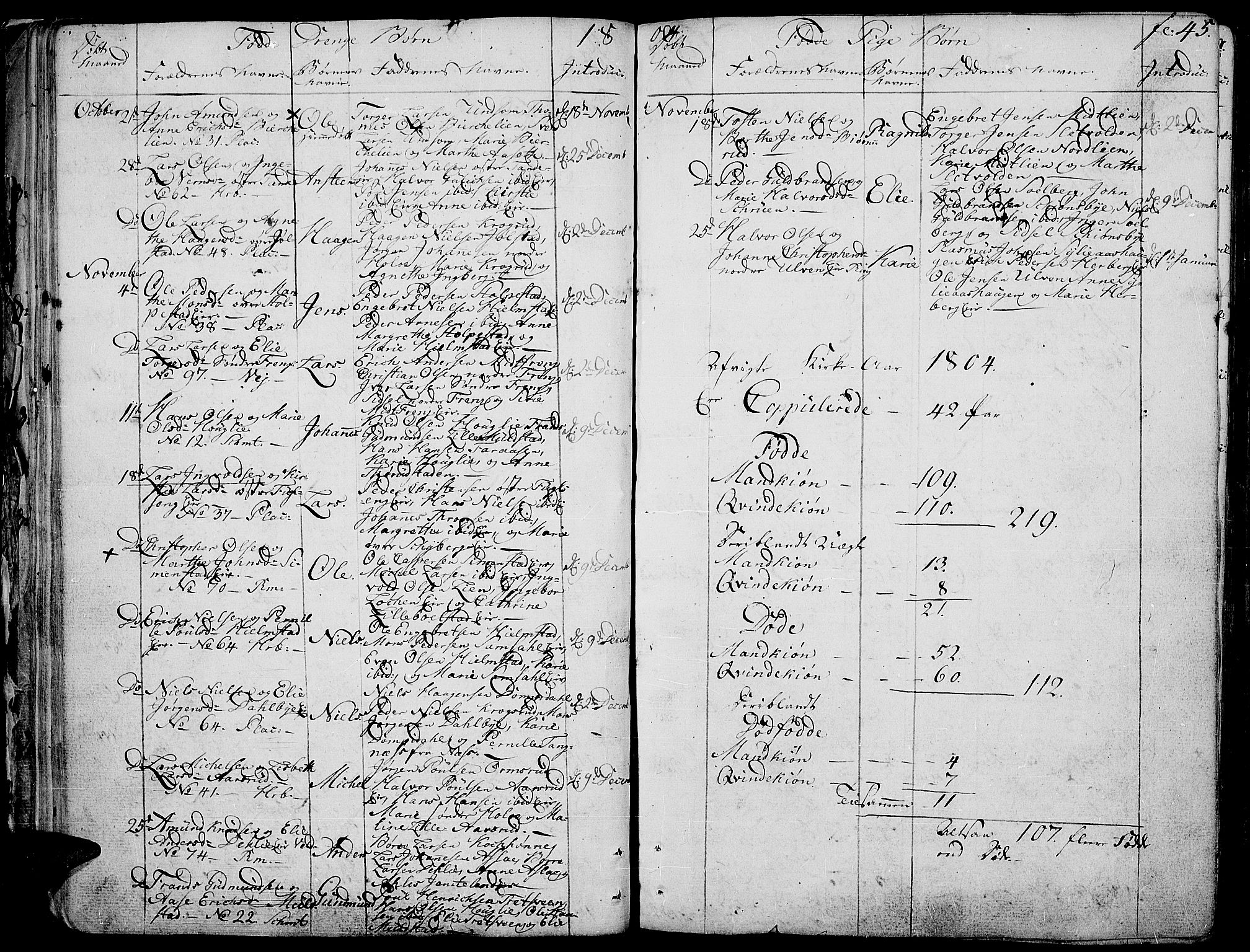 Ringsaker prestekontor, AV/SAH-PREST-014/K/Ka/L0004: Parish register (official) no. 4, 1799-1814, p. 45