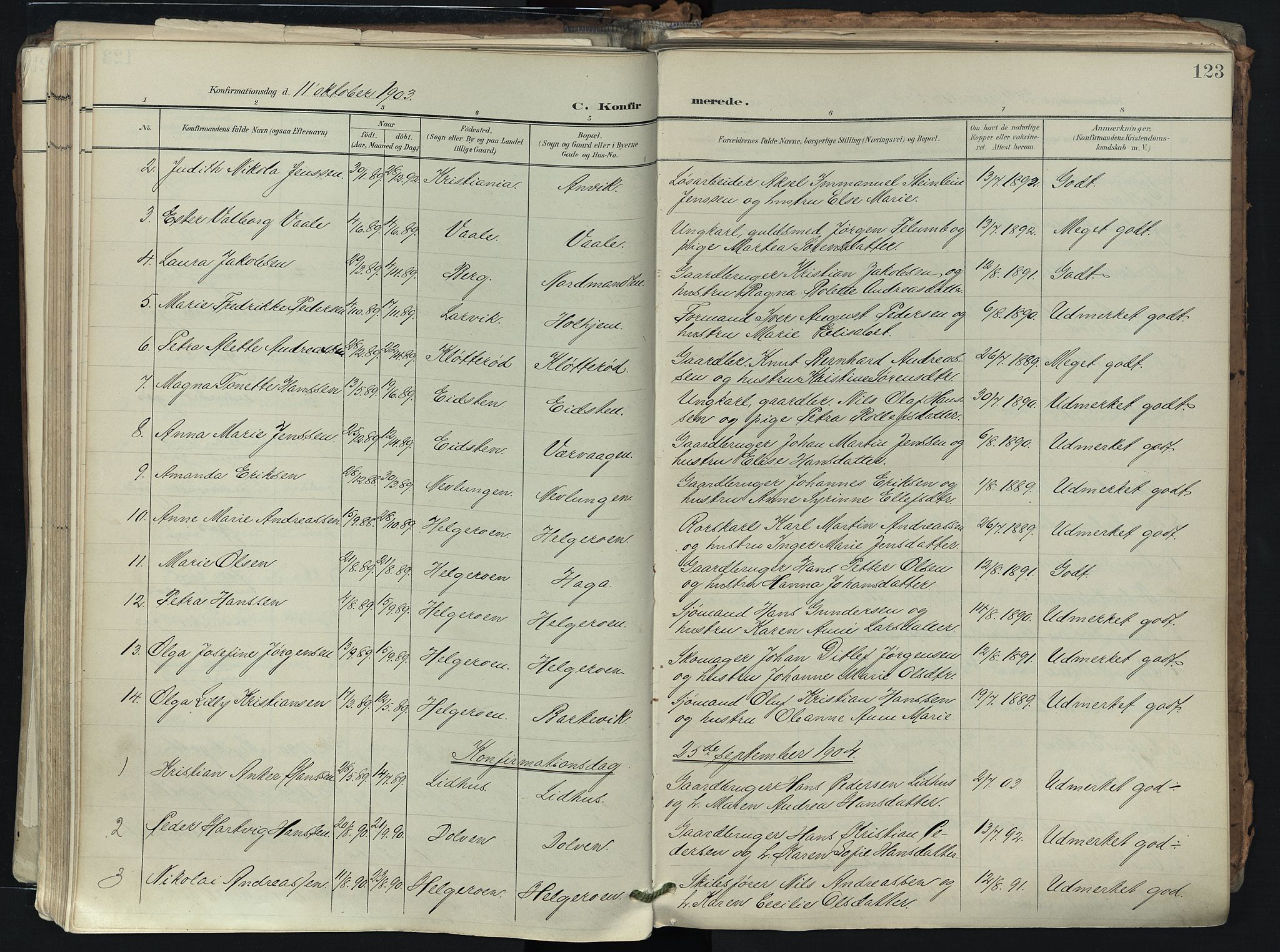 Brunlanes kirkebøker, SAKO/A-342/F/Fb/L0003: Parish register (official) no. II 3, 1900-1922, p. 123