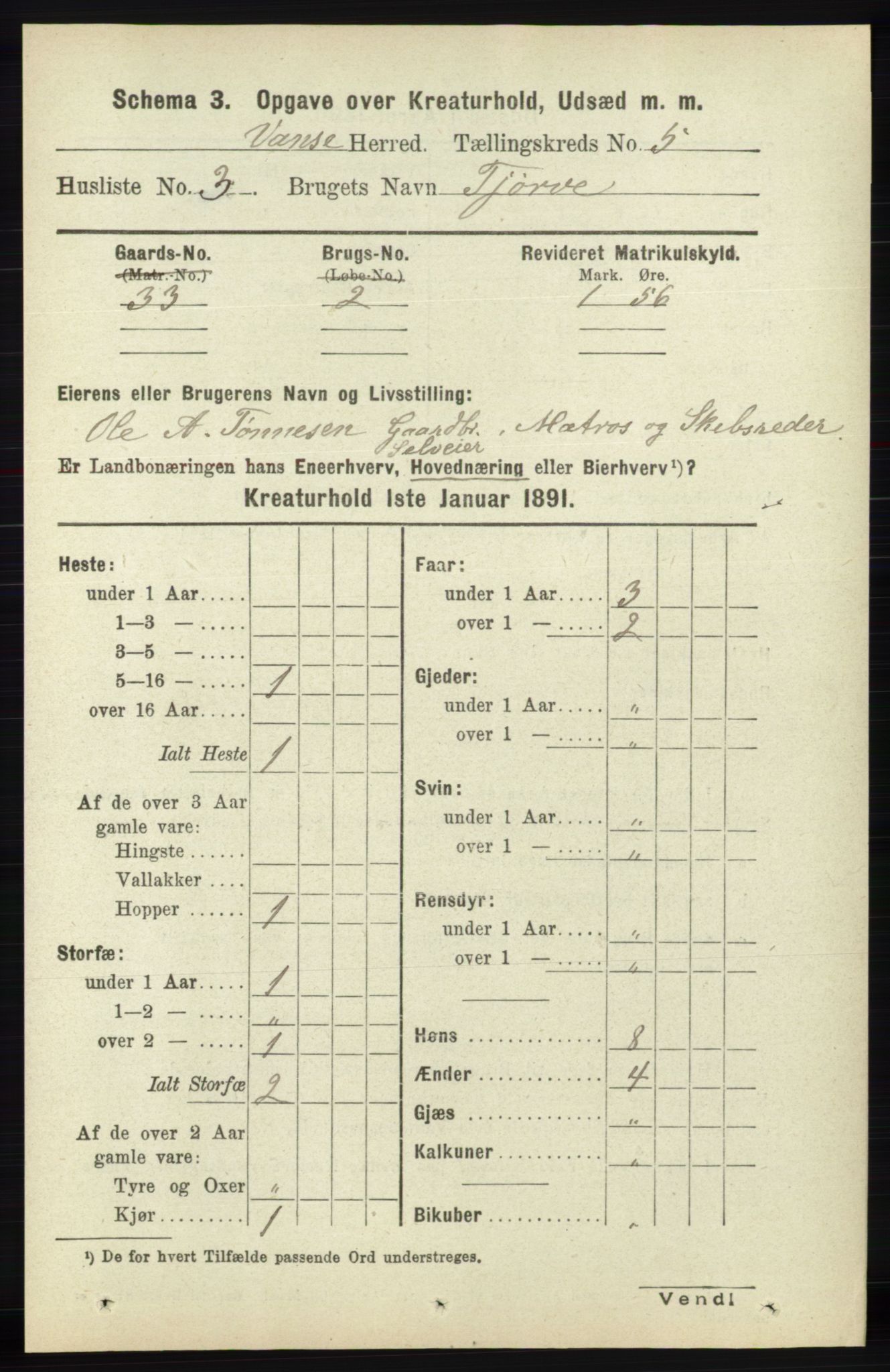 RA, 1891 census for 1041 Vanse, 1891, p. 8739