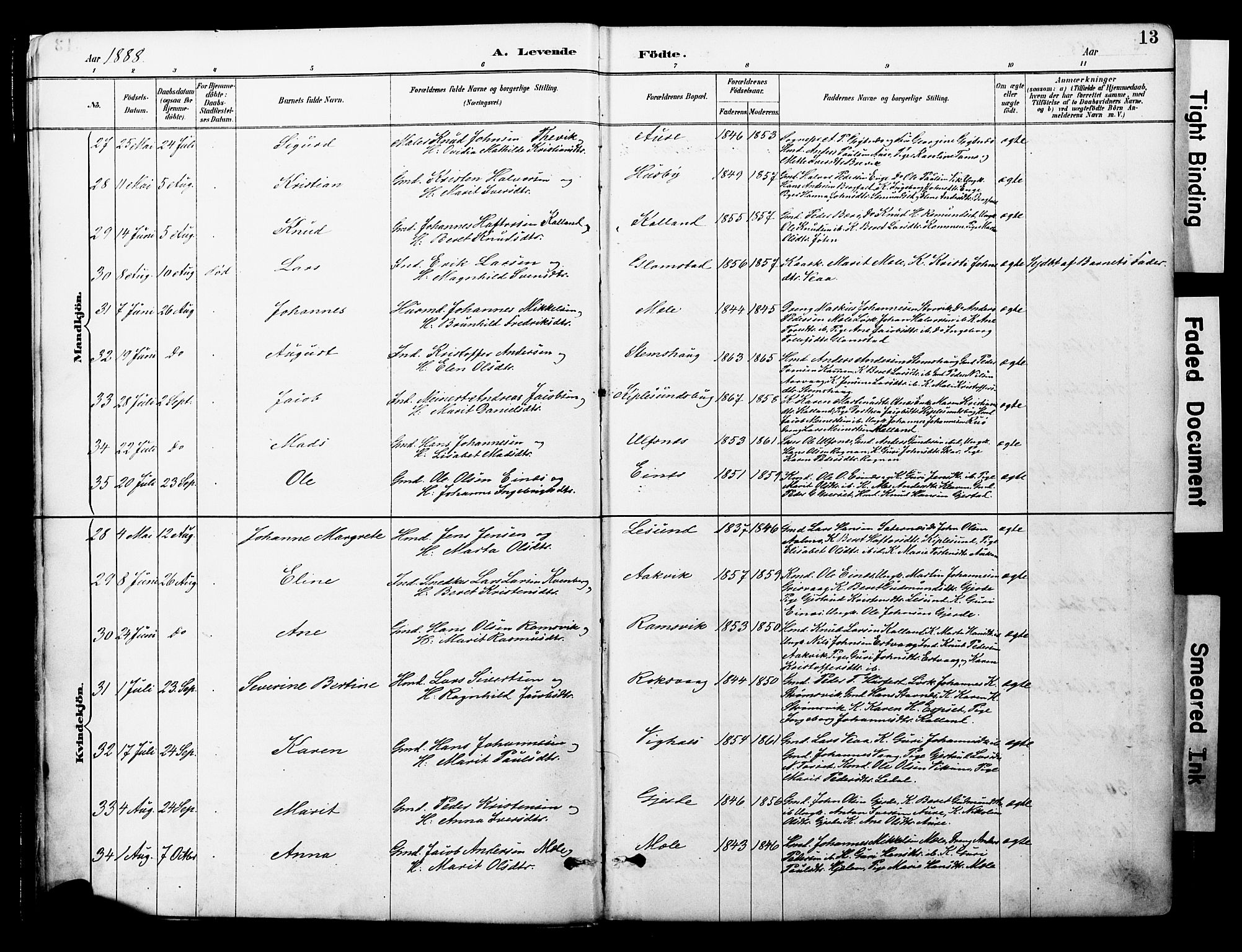 Ministerialprotokoller, klokkerbøker og fødselsregistre - Møre og Romsdal, AV/SAT-A-1454/578/L0907: Parish register (official) no. 578A06, 1887-1904, p. 13