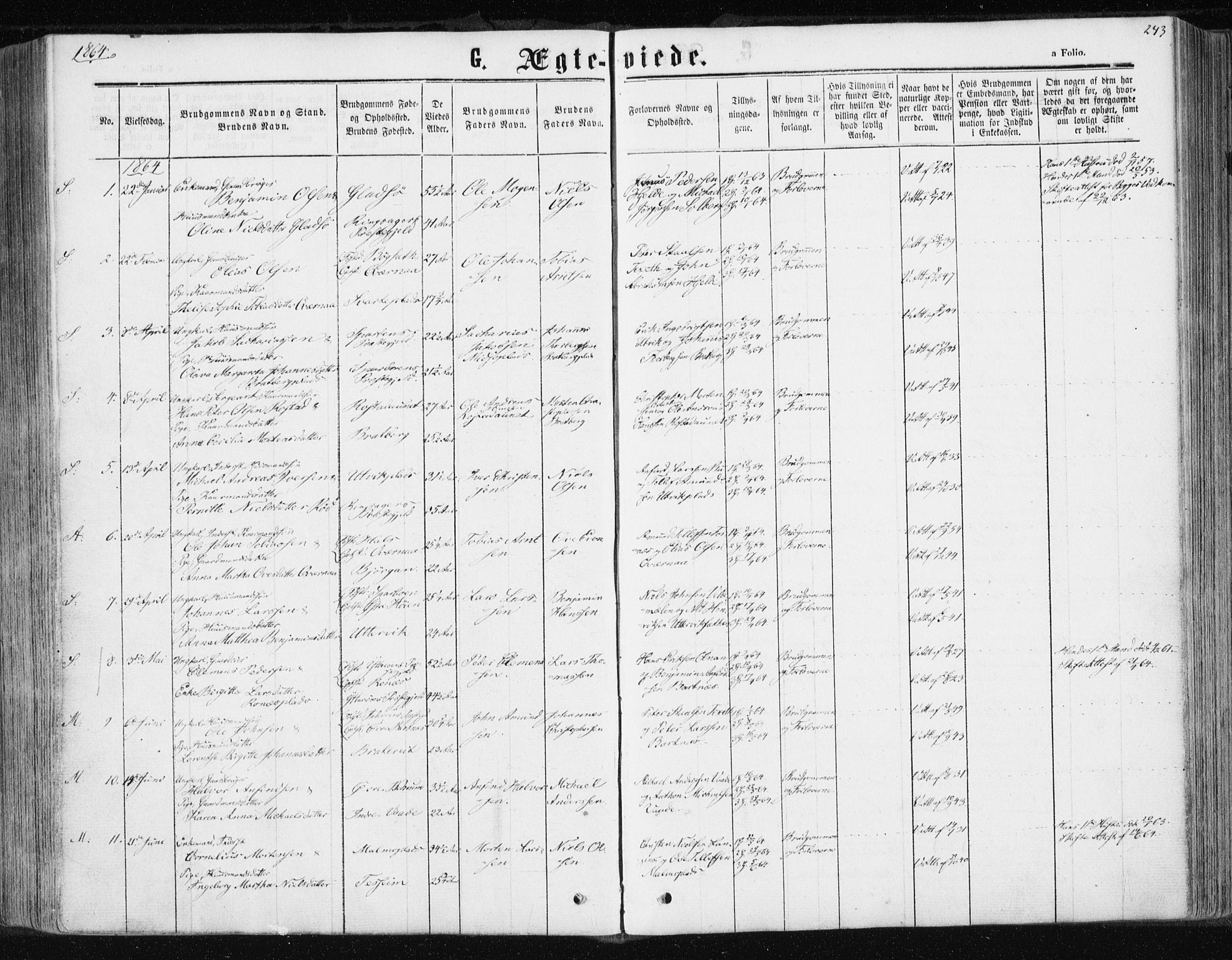 Ministerialprotokoller, klokkerbøker og fødselsregistre - Nord-Trøndelag, SAT/A-1458/741/L0394: Parish register (official) no. 741A08, 1864-1877, p. 243