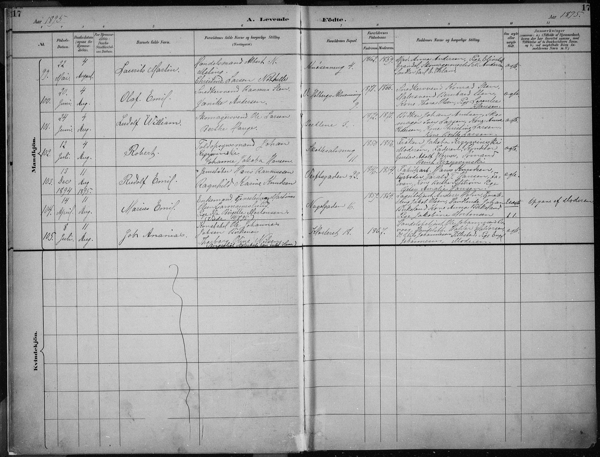Nykirken Sokneprestembete, AV/SAB-A-77101/H/Haa/L0018: Parish register (official) no. B 6, 1895-1903, p. 17